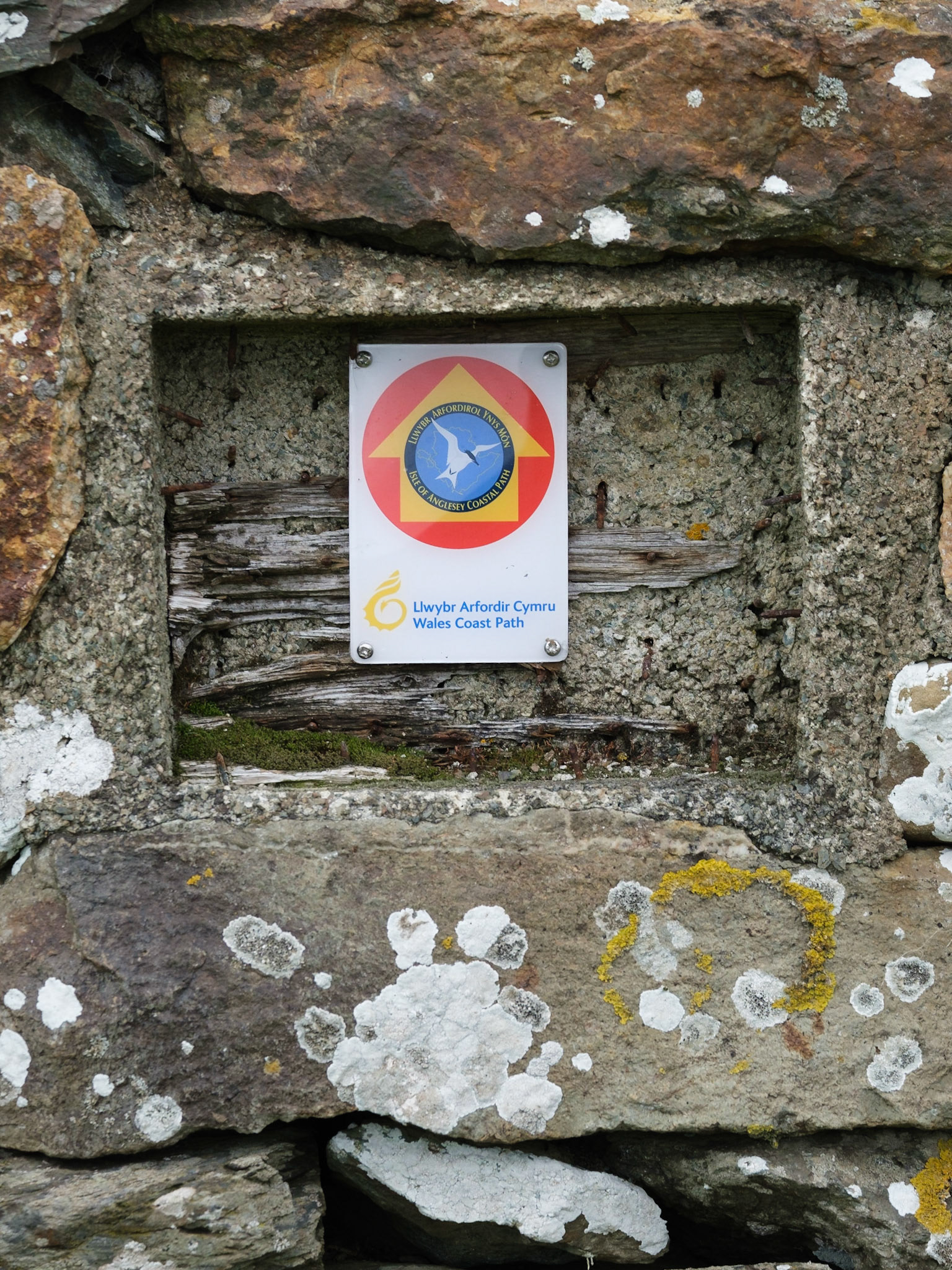 Wales Coast Path sign and lichen.