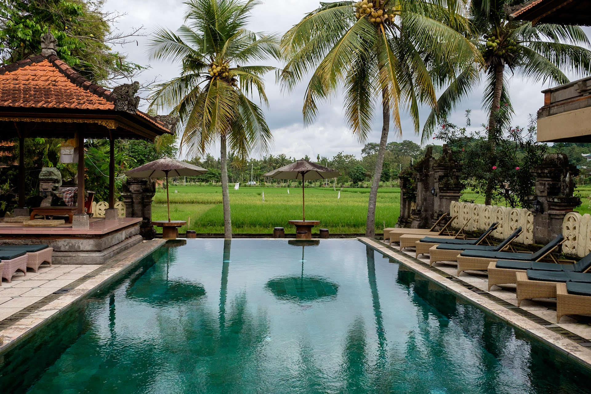 Looking across the rice paddies from the swimming pool of Green Field Bungalows on the outskirts of Ubud, Bali, Indonesia.