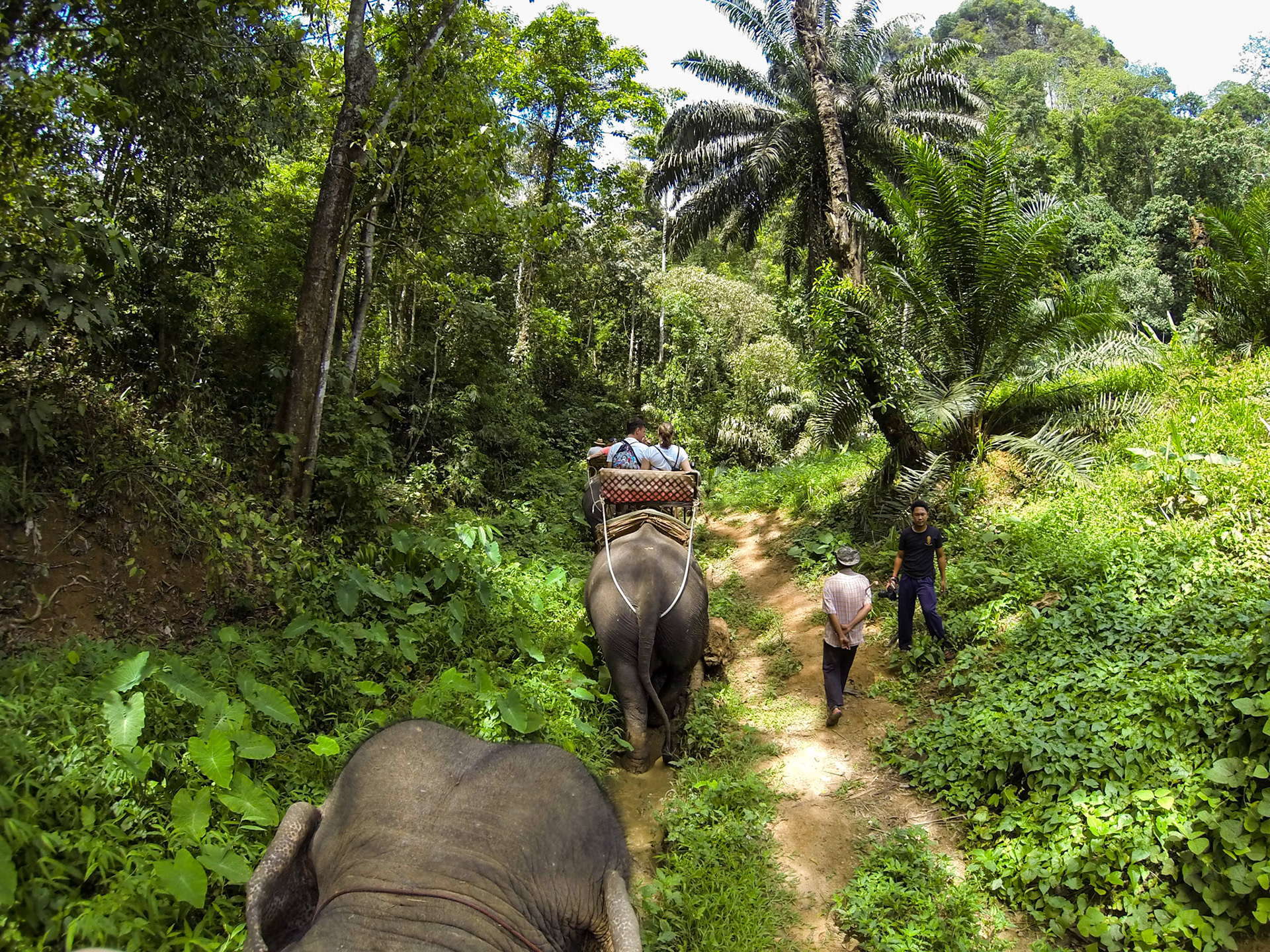 Elephant ride in Khao Sok National Park, Thailand.