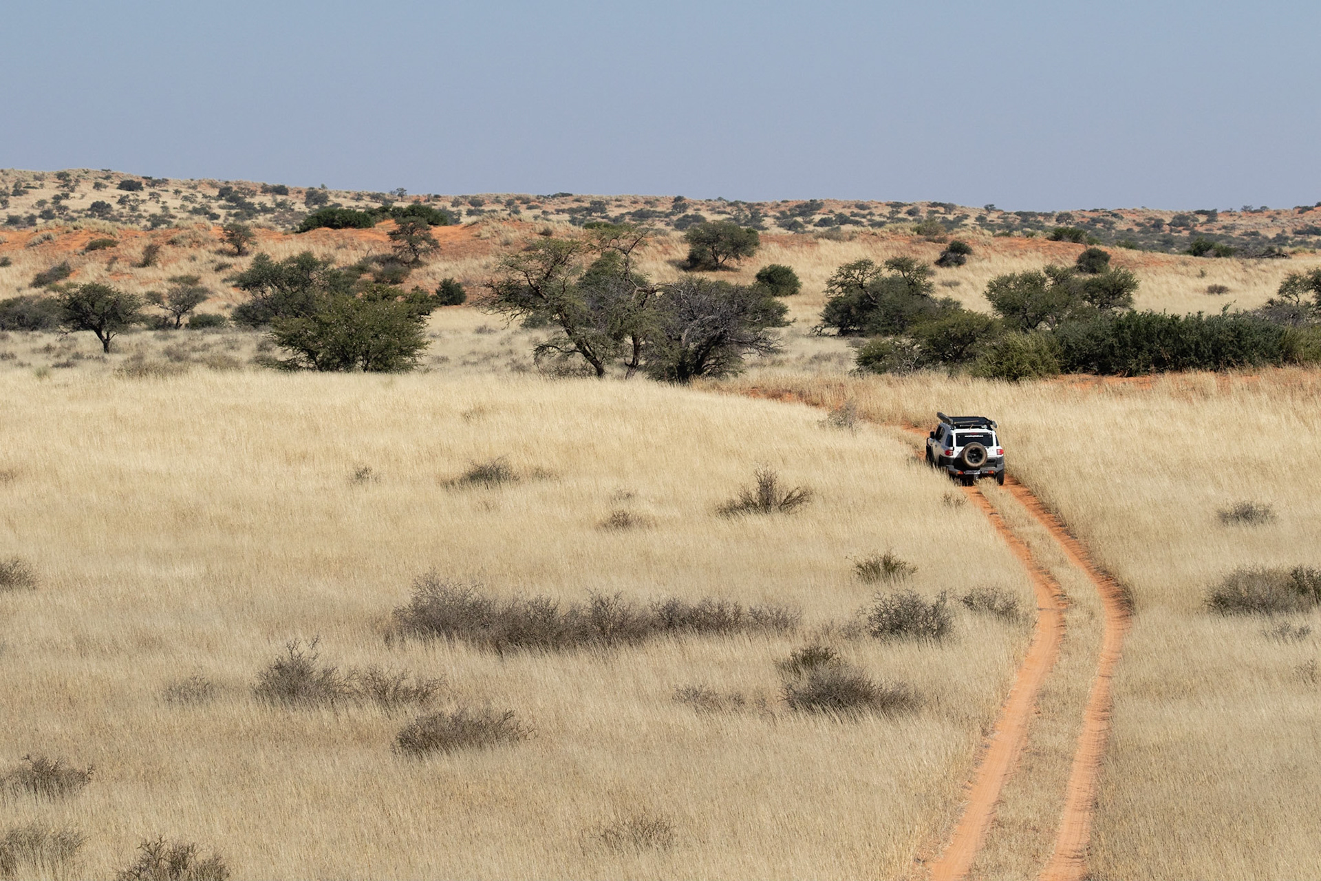 There aren't many animals of the Bitterpan 4x4 Trail but it is a beautiful drive, Kgalagadi Transfrontier Park.