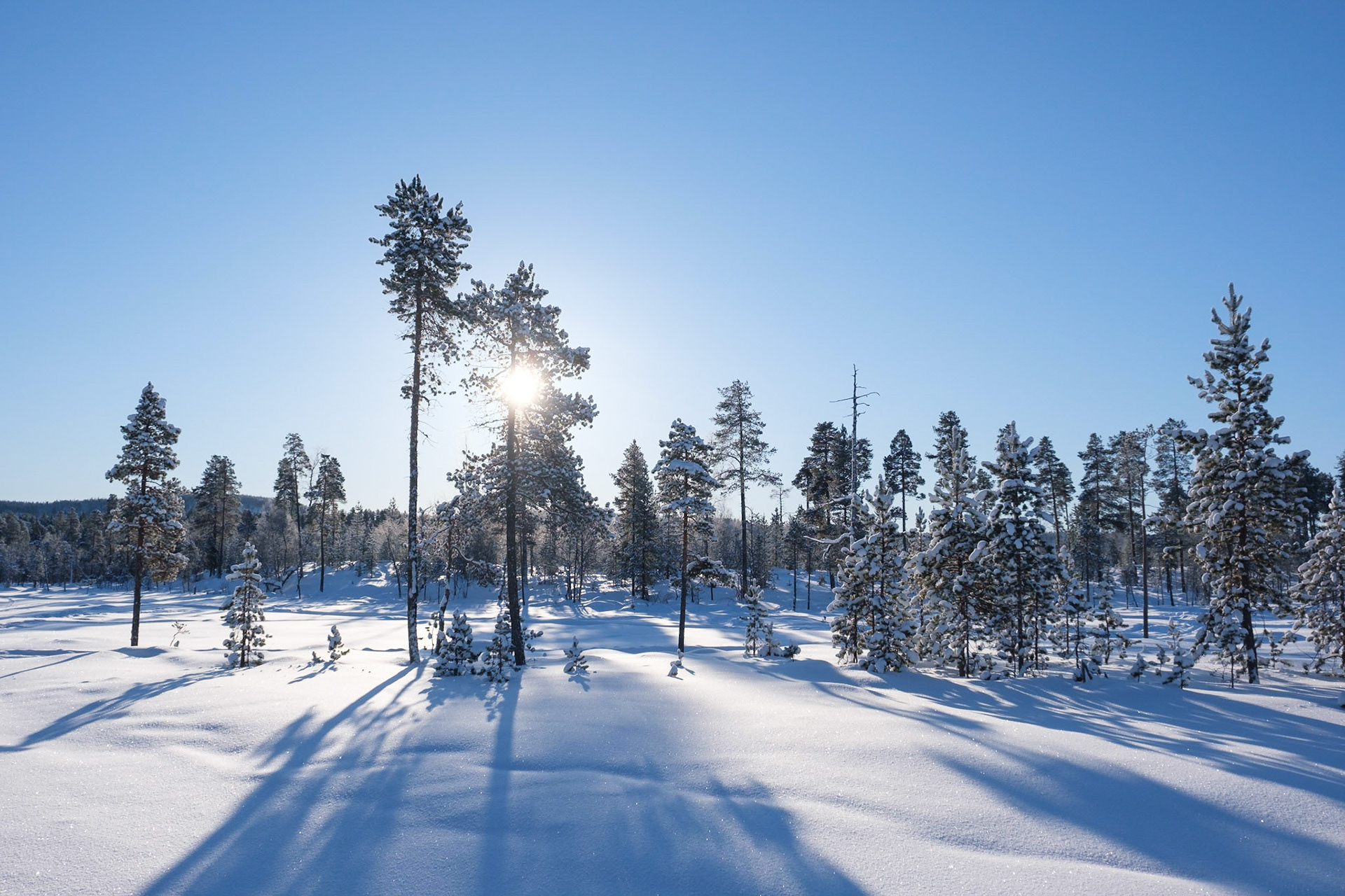 It was amazing snowshoeing through this landscape, Nellim, Finnish Lapland.