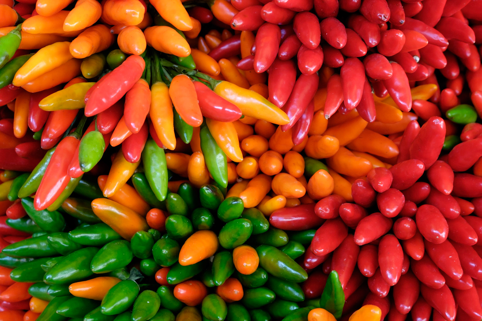 Colourful chillies at the Rialto market, San Polo, Venice.
