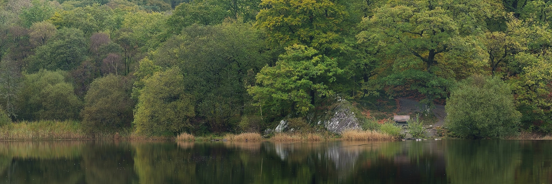 A bench looking out over Grasmere.