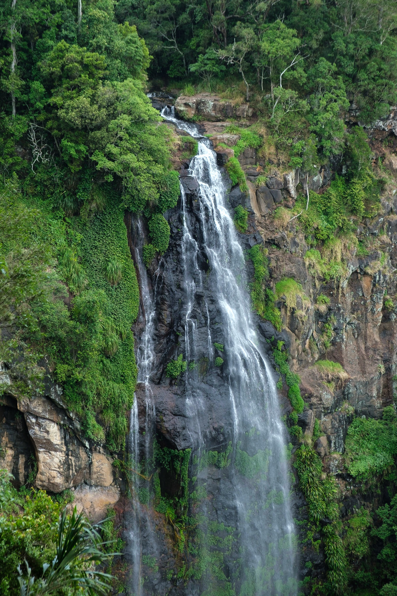 Moran Falls, Lamington National Park, Queensland, Australia.