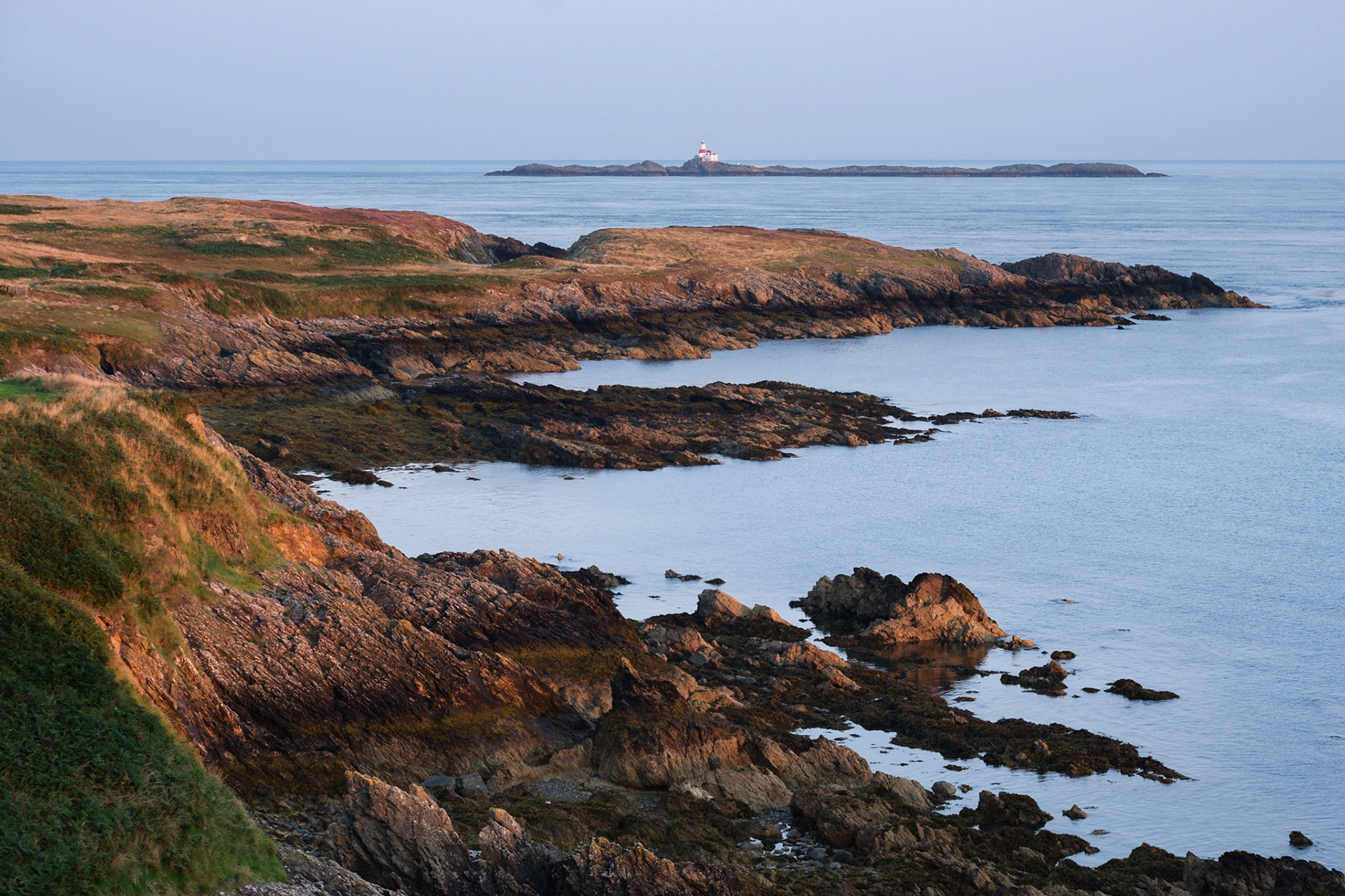 Dawn over Carmel Head with the Skerries Lighhouse in the distance.