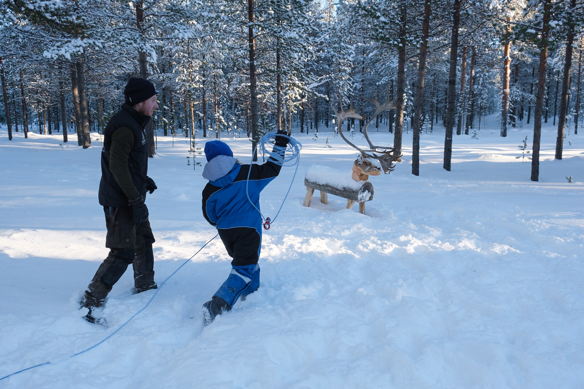 Trying to lasso a reindeer, Nellim, Finnish Lapland.