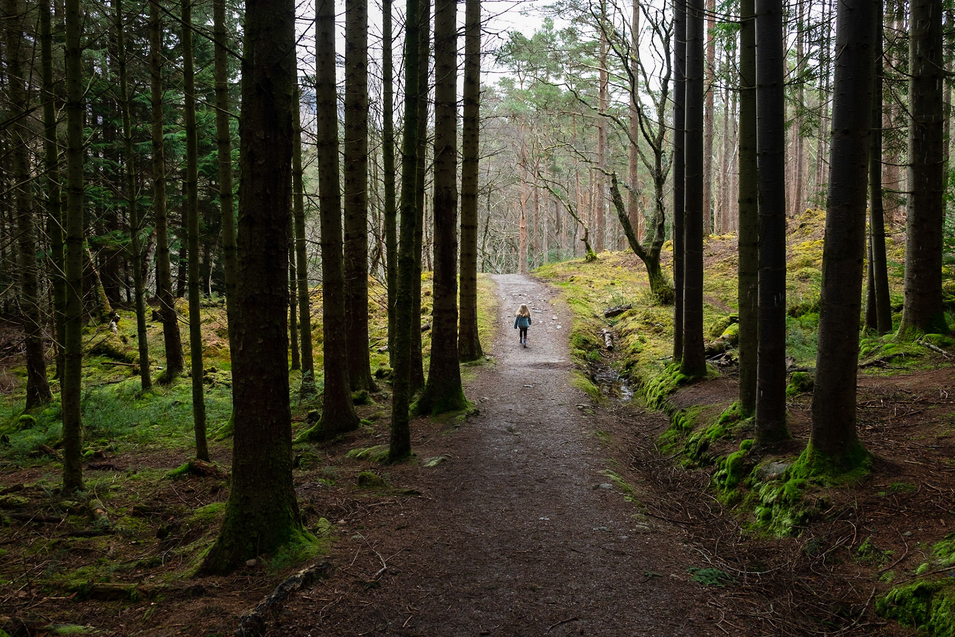 Running on ahead on the Woodland Trail around Glencoe Lochan.