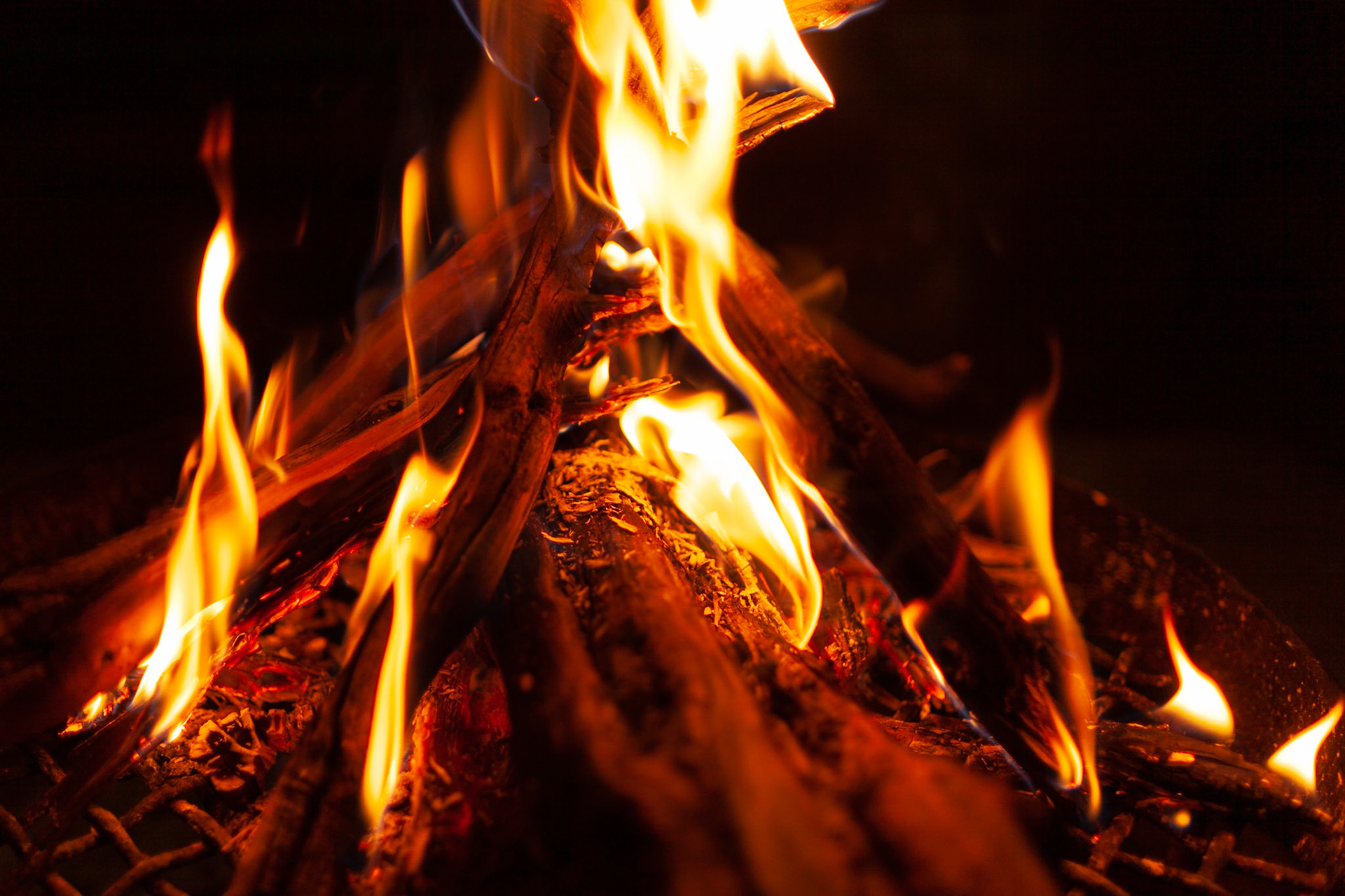 You know your trip to the bush has officially started when you are sitting beside a wood fire.