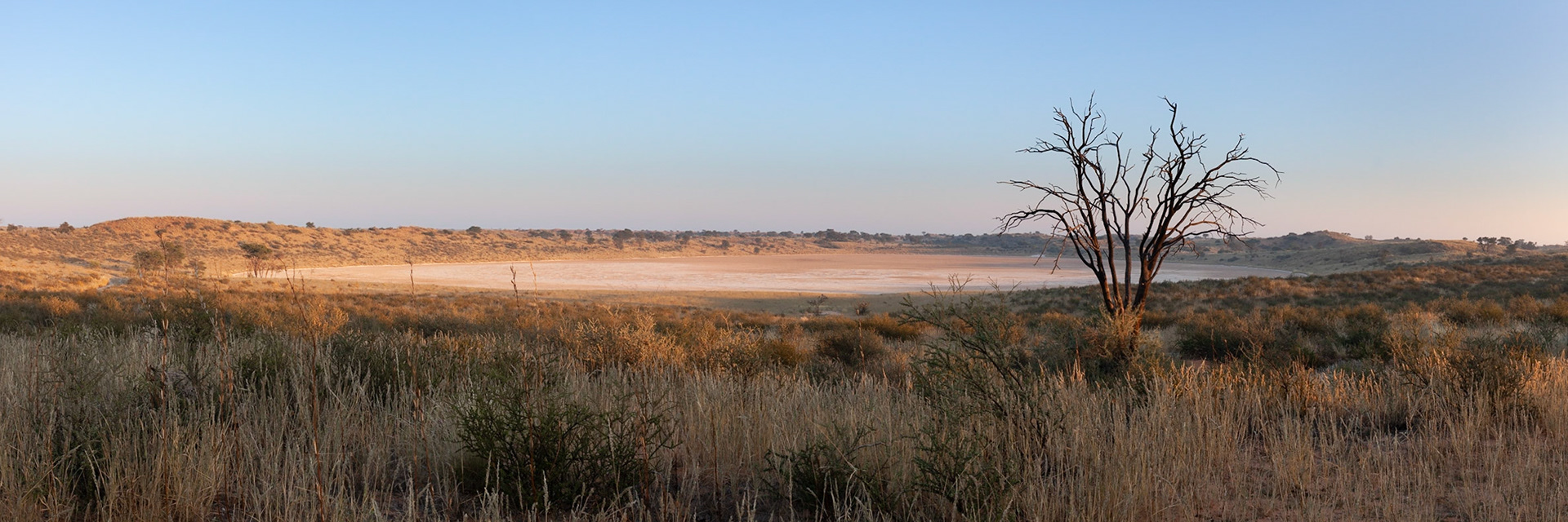 Sunrise over Bitterpan from our chalet at Bitterpan Wilderness Camp, Kgalagadi Transfrontier Park.