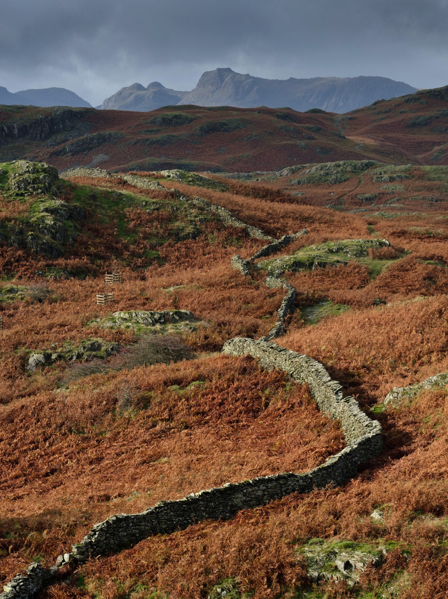 Drystone wall on Loughrigg Fell.