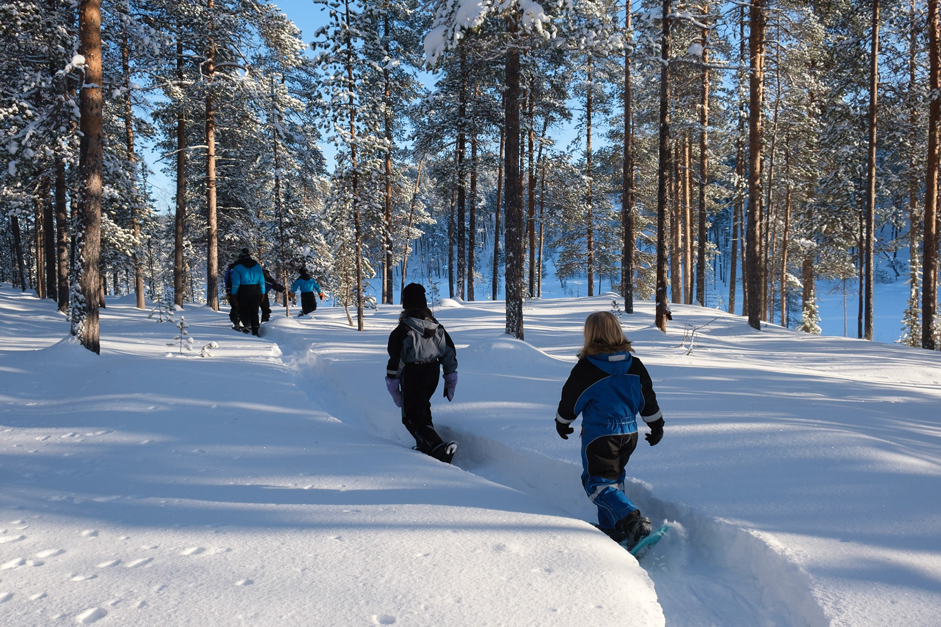 Snowshoeing through the forest, much easier to follow the person in front of you, Nellim, Finnish Lapland.