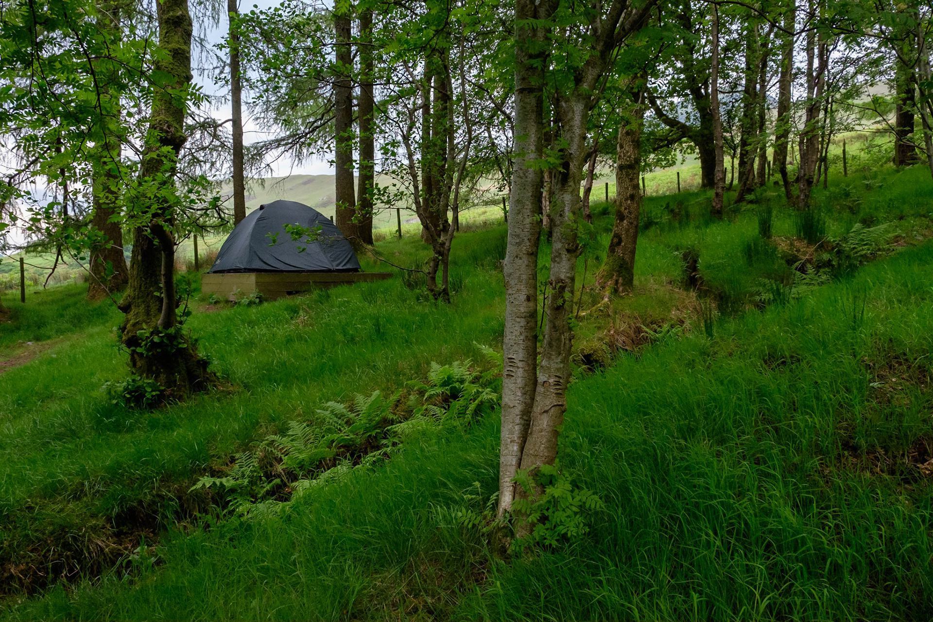 My campsite at YHA Buttermere, Lake District National Park, England.