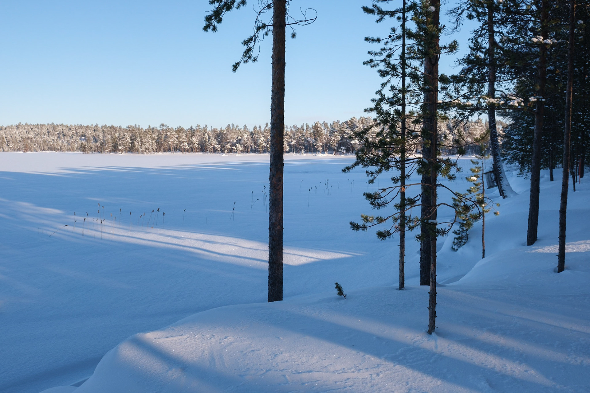 The view across the lake from the reindeer farm, Nellim, Finnish Lapland.