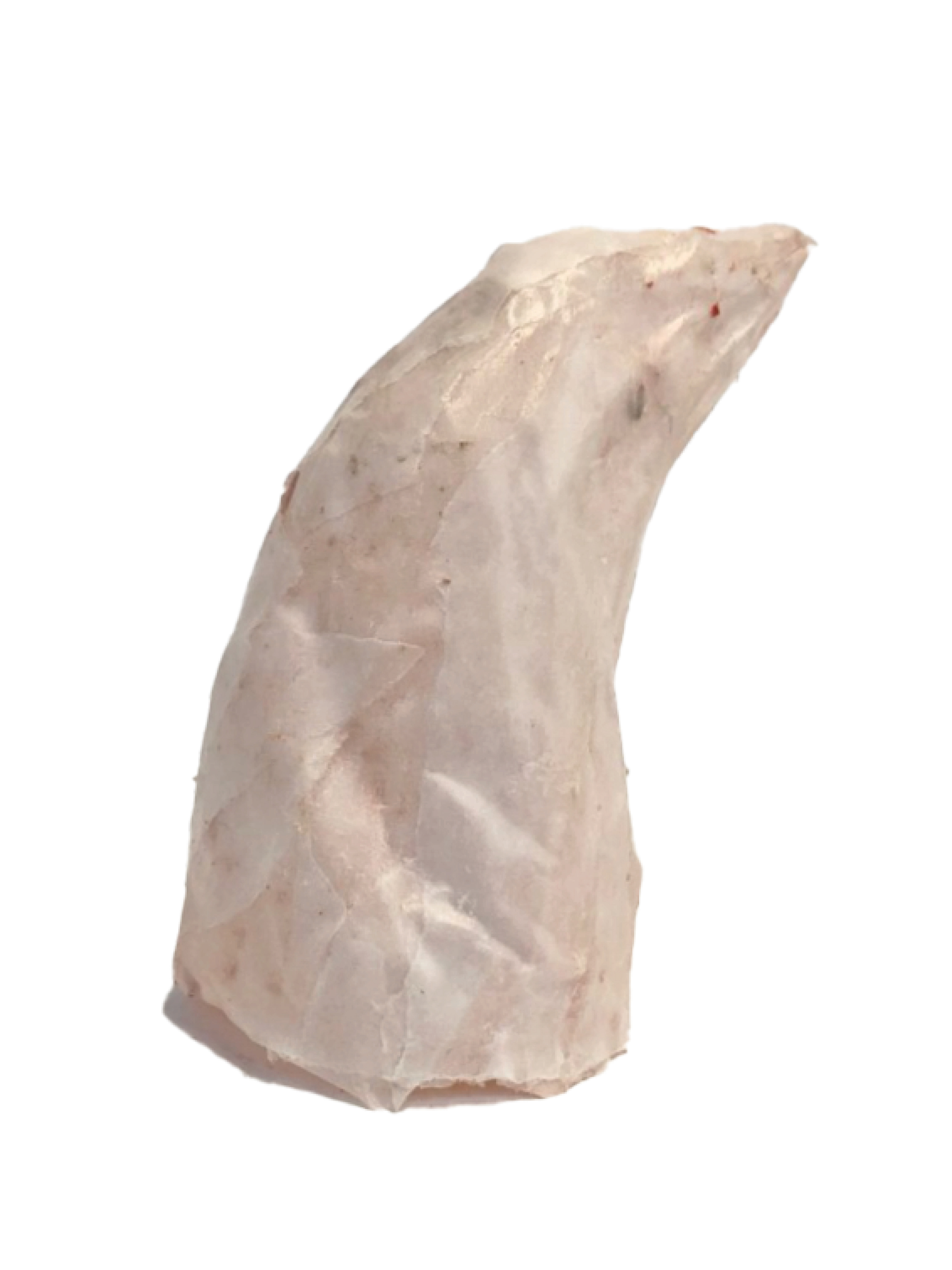 Cast of clay model.