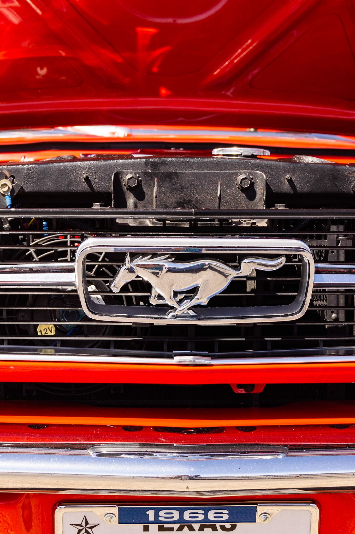 Ford Mustang Emblem