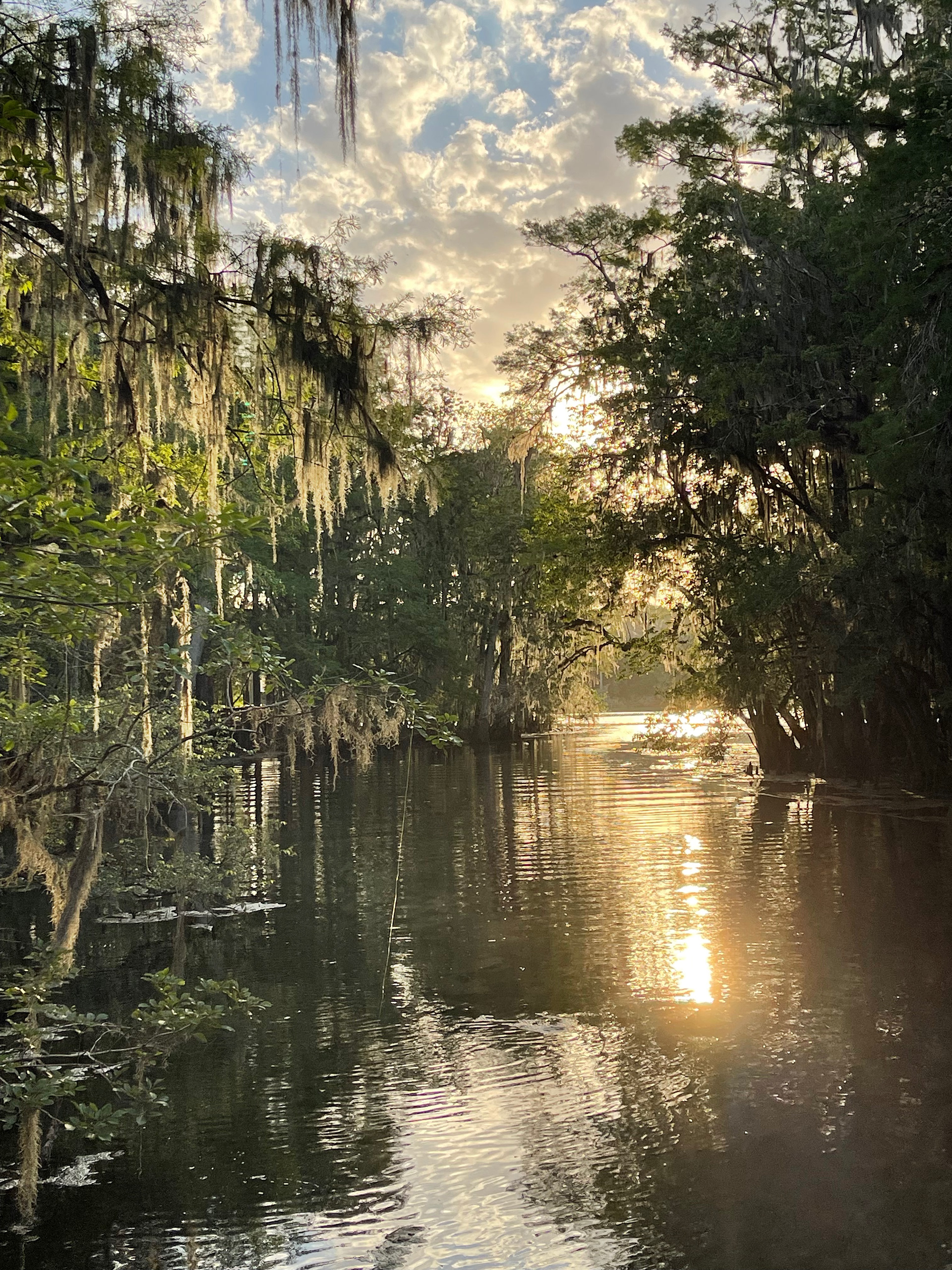 Camping in Florida