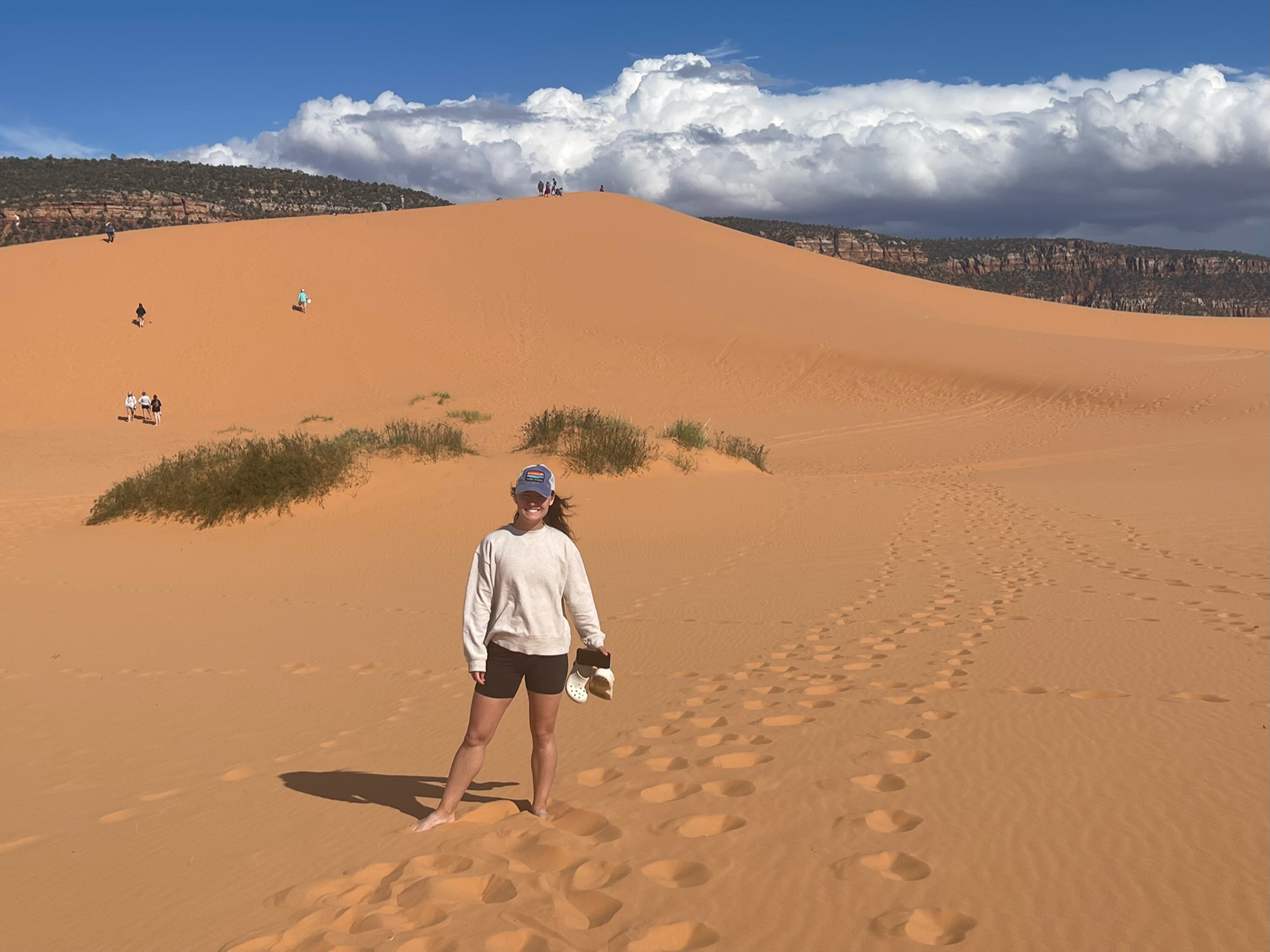 Pink Sand Dunes