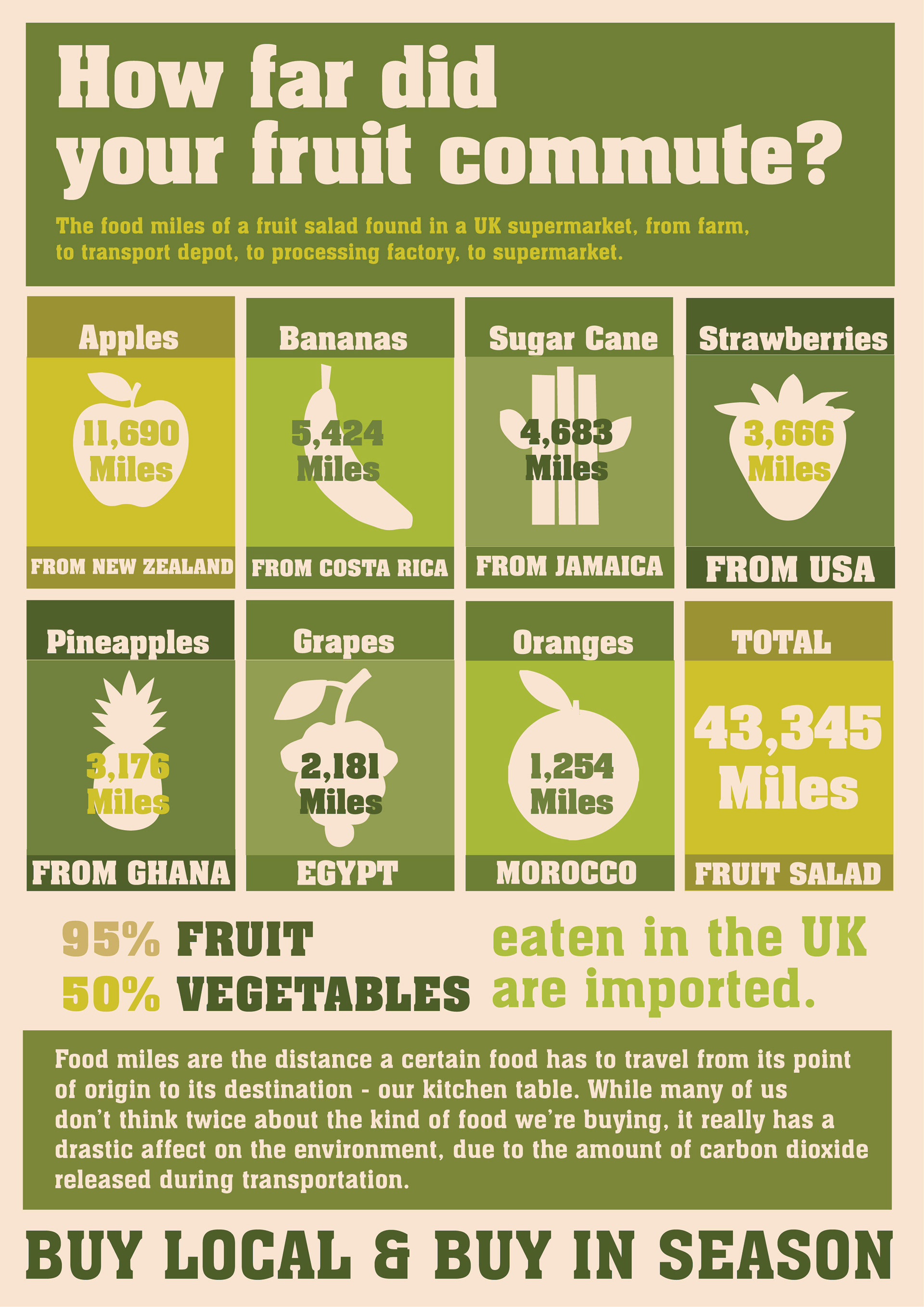 Infographic