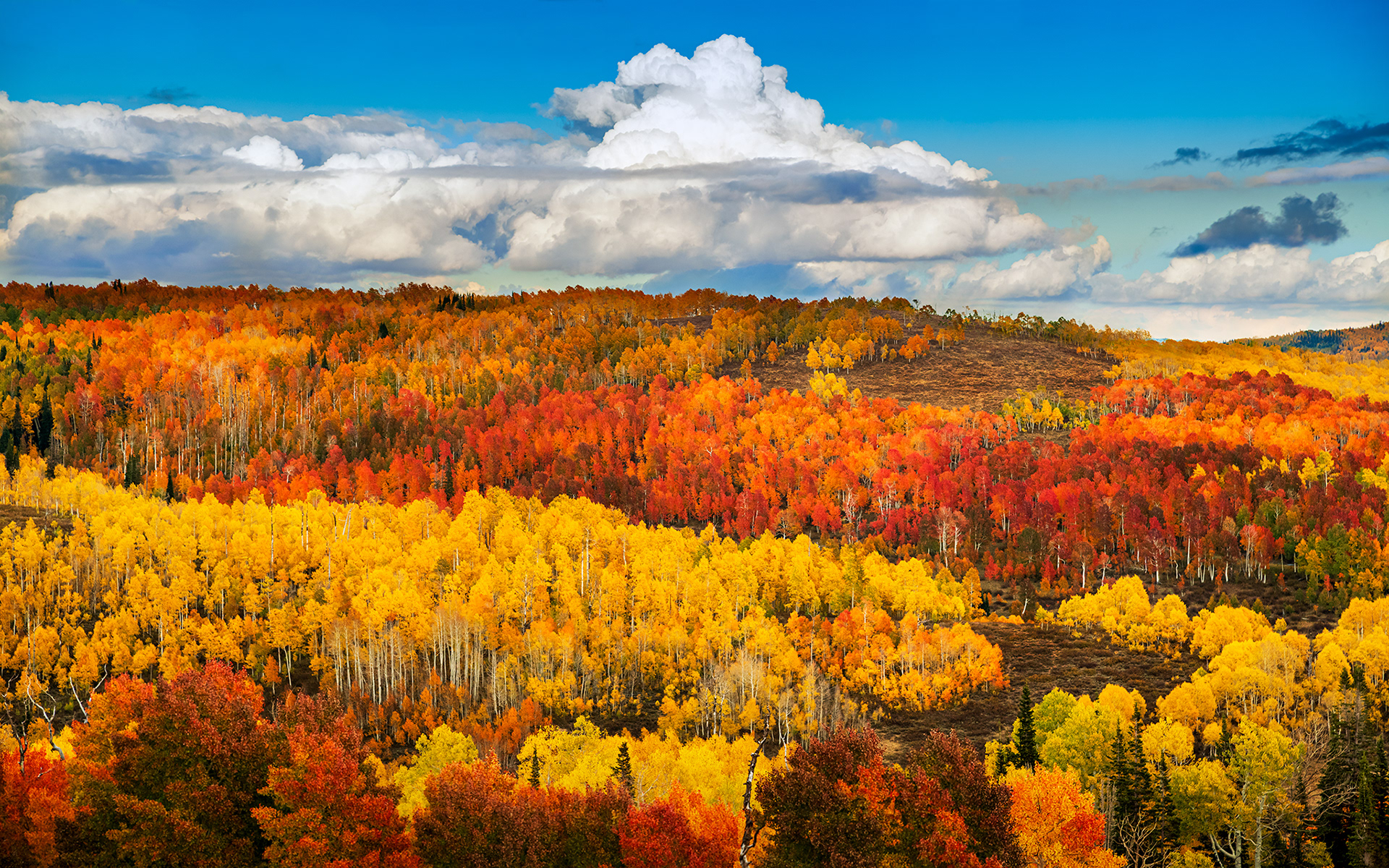 Skyline Drive, Fairview Utah