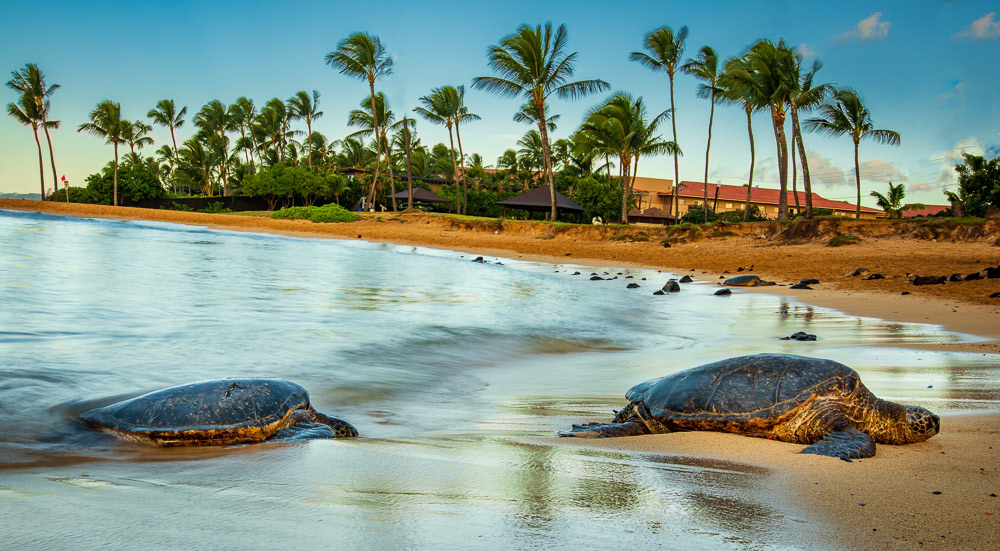 Poi'pu Beach