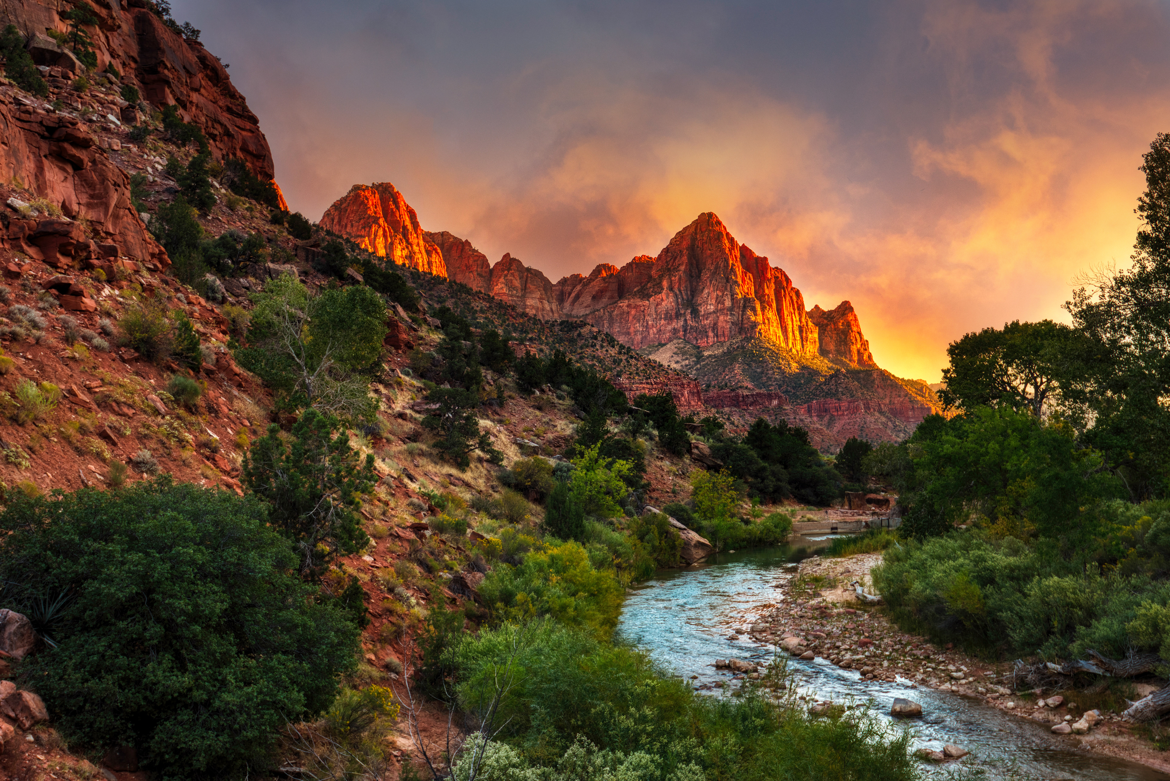 The Watchman