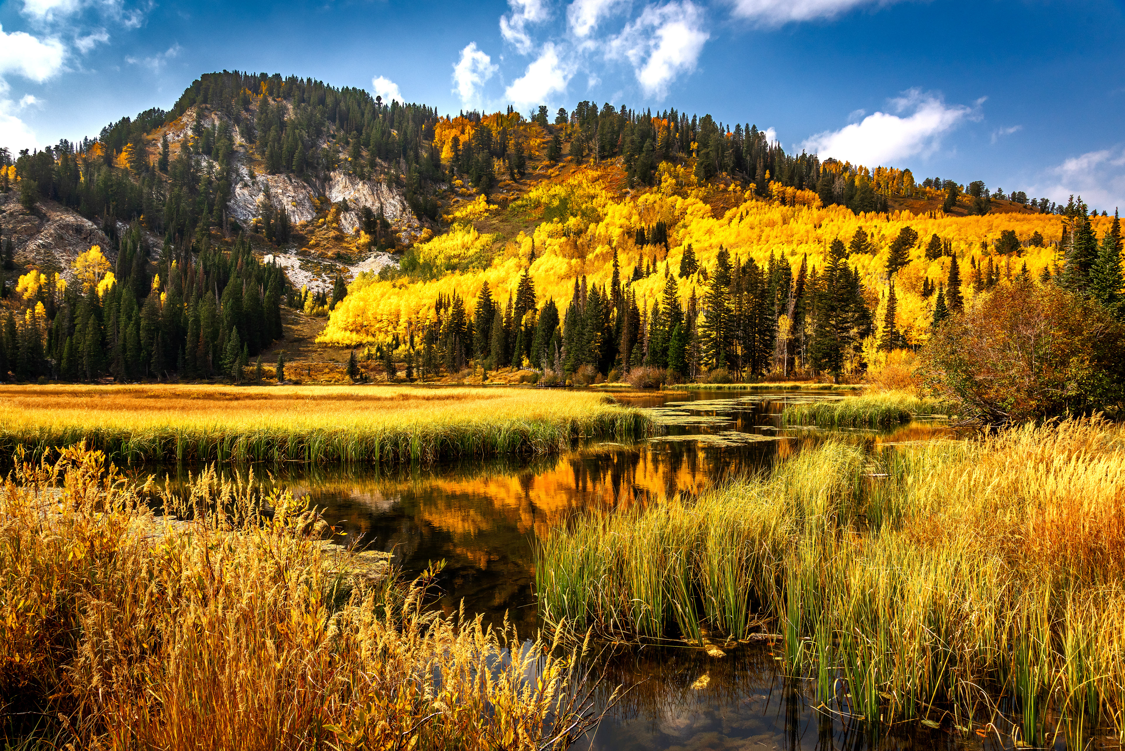 Silver Lake