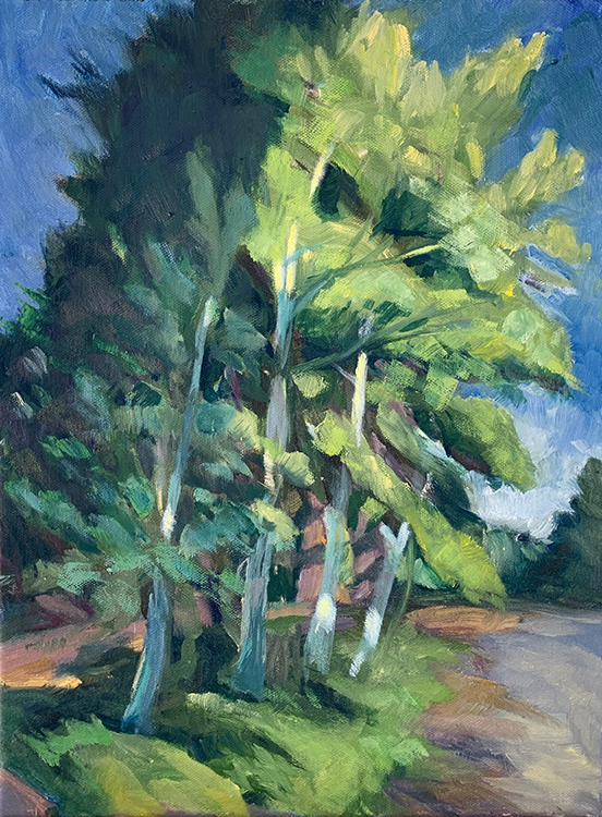 "our aspens" 12"x 16" oil on canvas contact bill for price