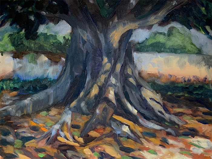 "the ancient fig tree" 16x12 oil on board contact bill for price