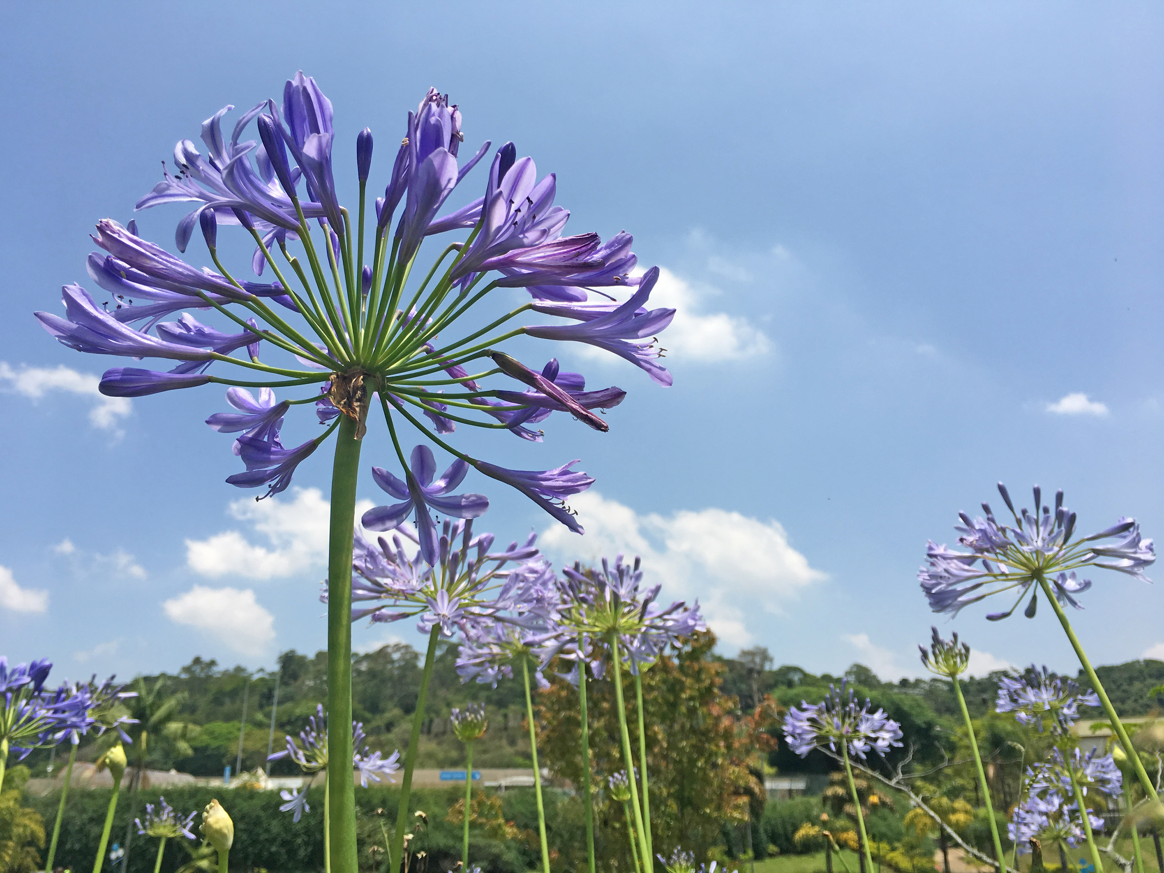 São Paulo, Brasil, 2017