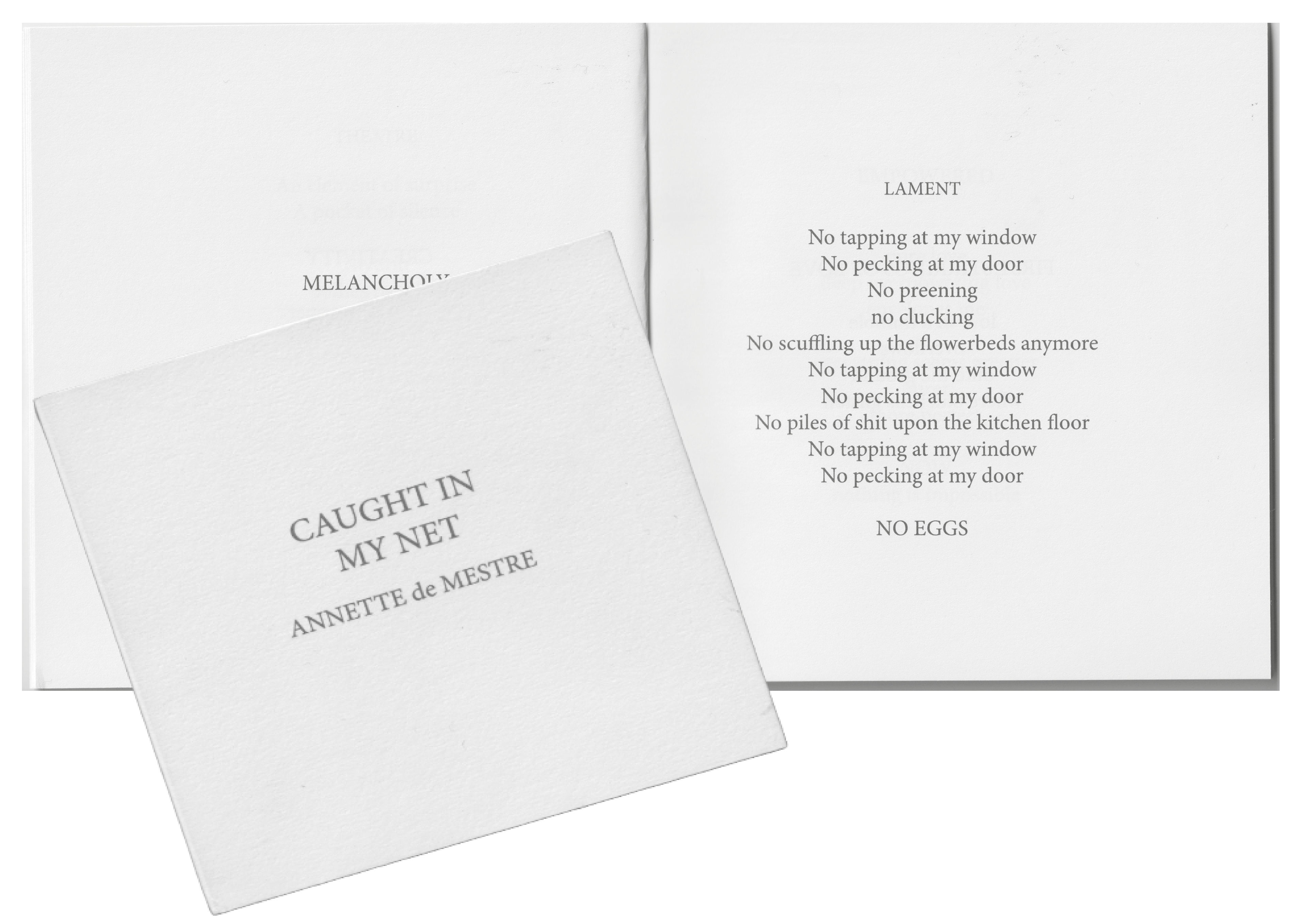 Caught in my Net - Little Titbits