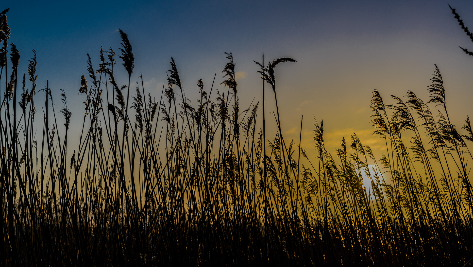 Vitte (Hiddensee) 2018