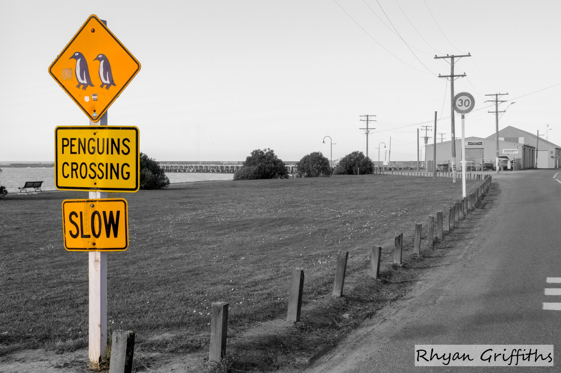 Penguins crossing sign located on the road leading uip to the Oamaru Penguin colony, Oamaru New Zealand