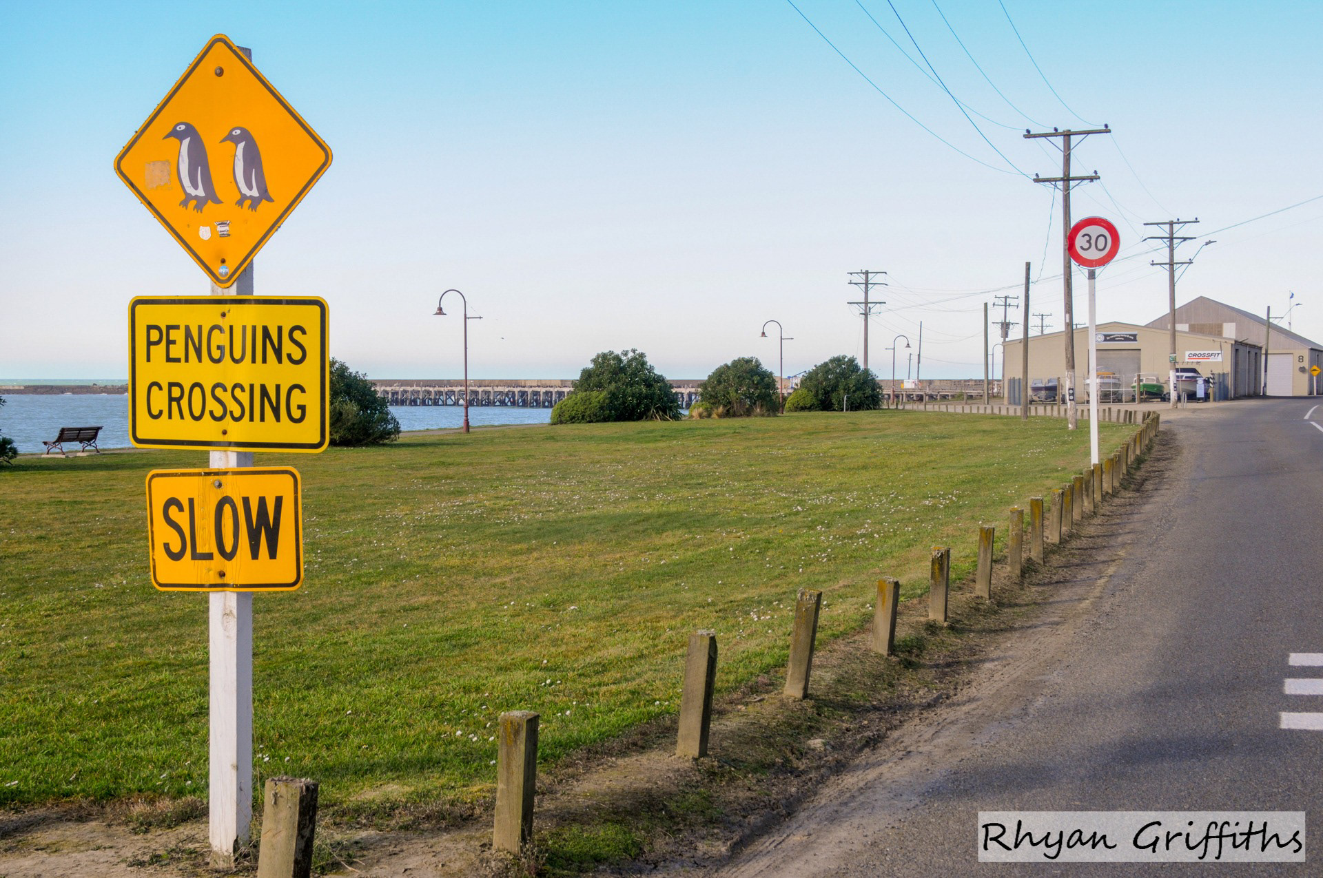 Penguins crossing sign located on the road leading uip to the Oamaru Penguin colony, Oamaru New Zealand
