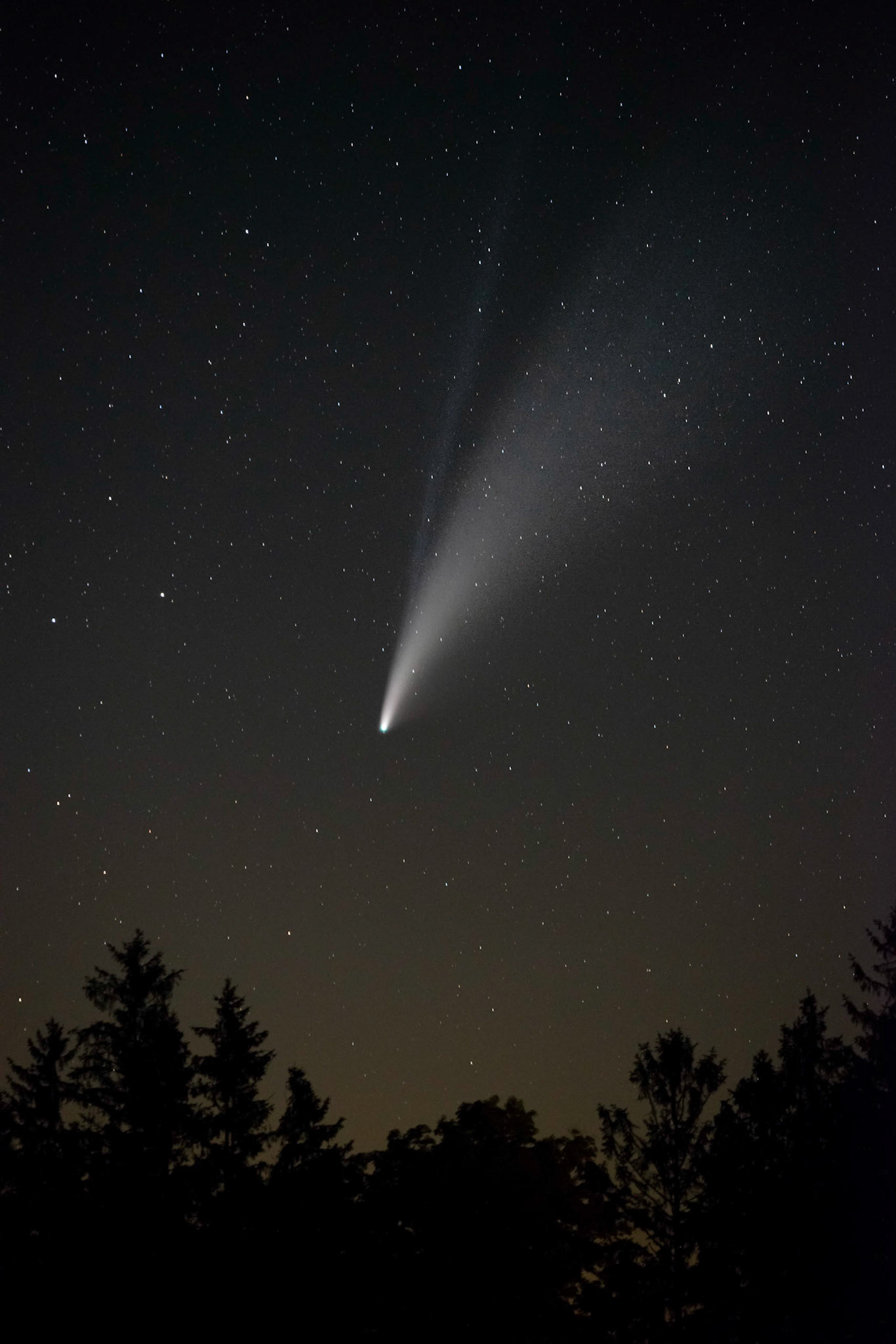 Comet NEOWISE (C/2020 F3)
