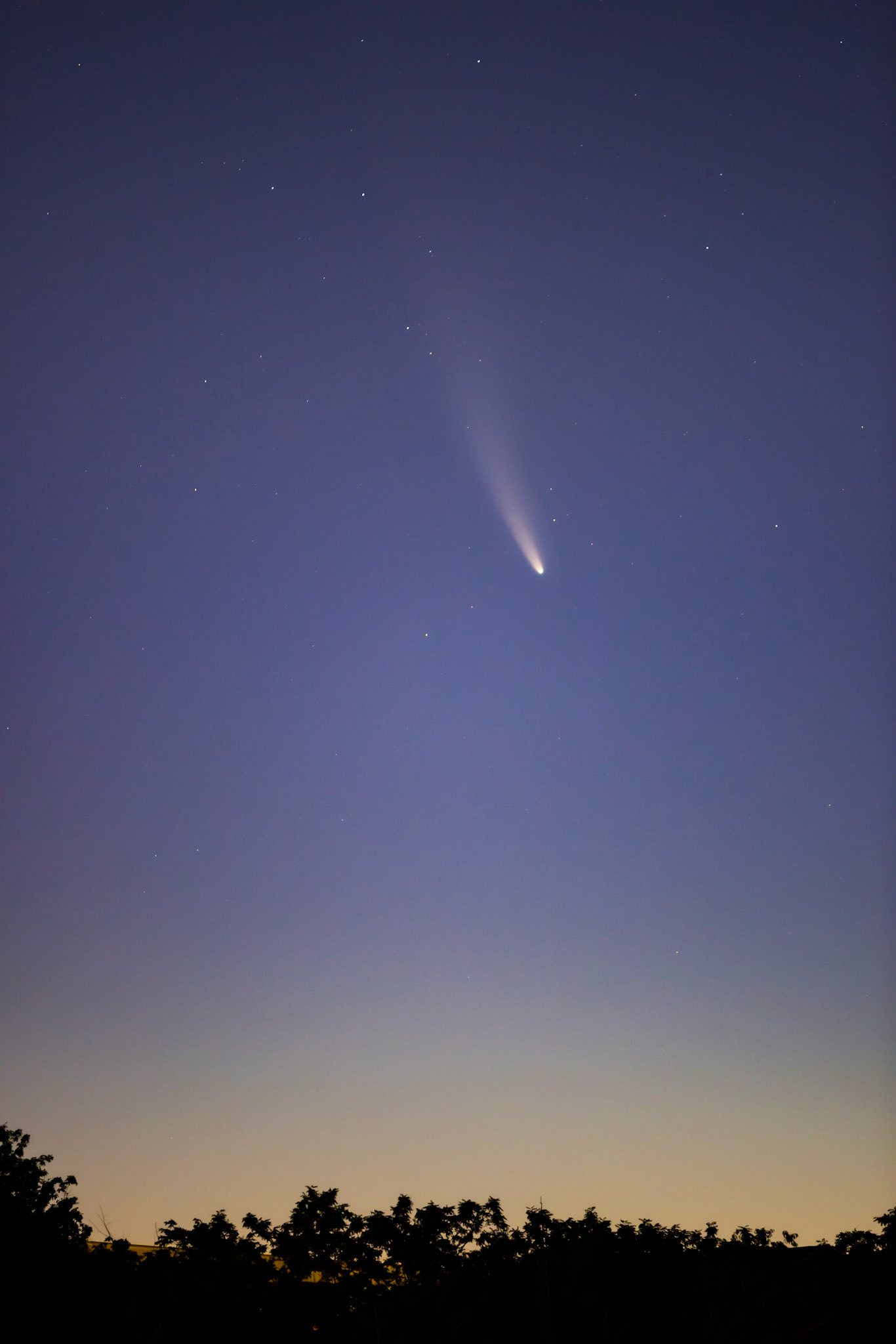 Comet NEOWISE (C/2020 F3)