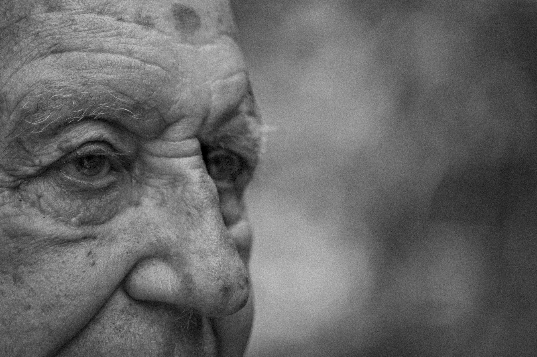 Working with the late Brother Donard, 2010