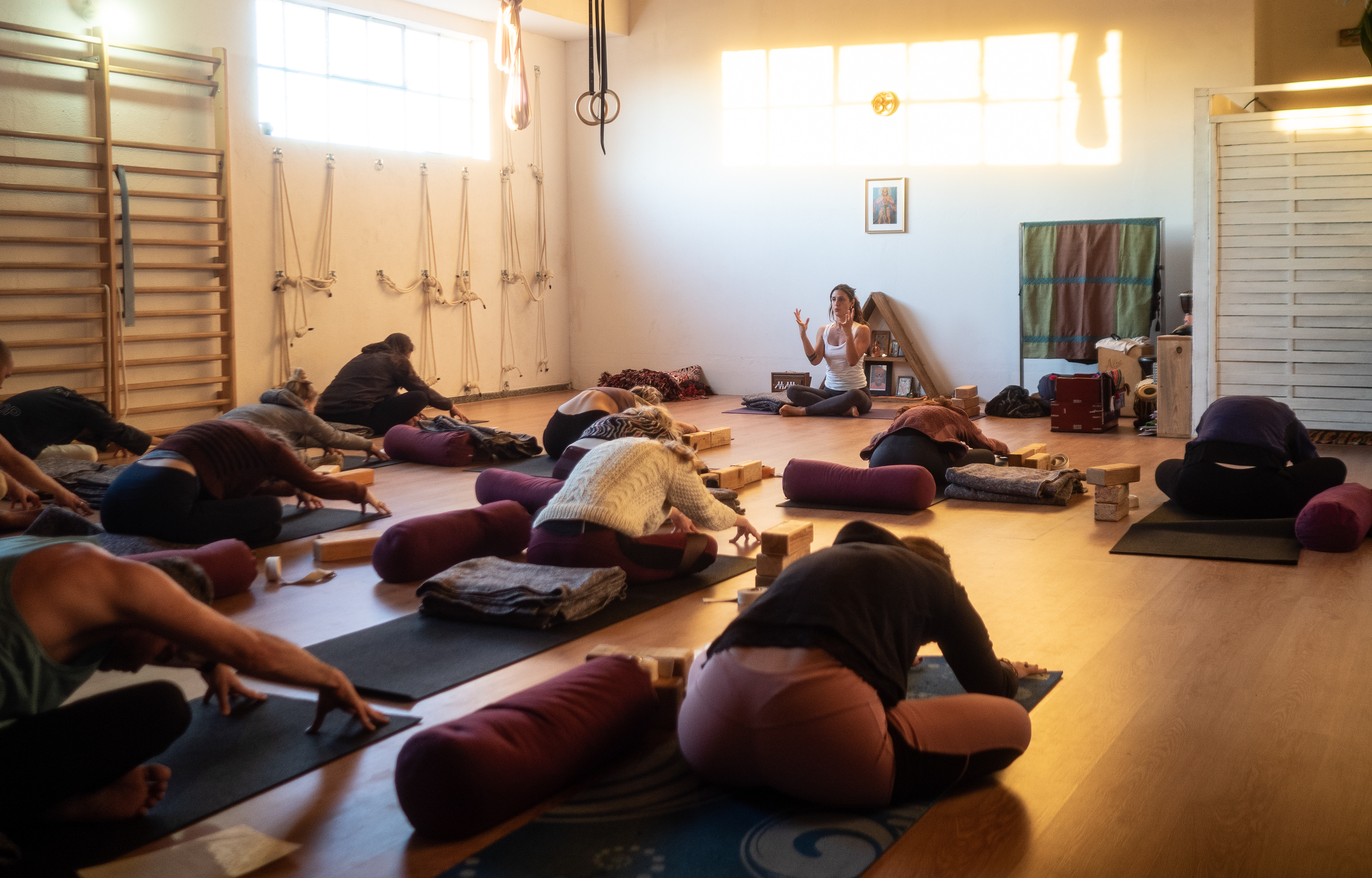 ALMASHALA YOGA - THE ART OF VINYASA- Alignment and Foundation