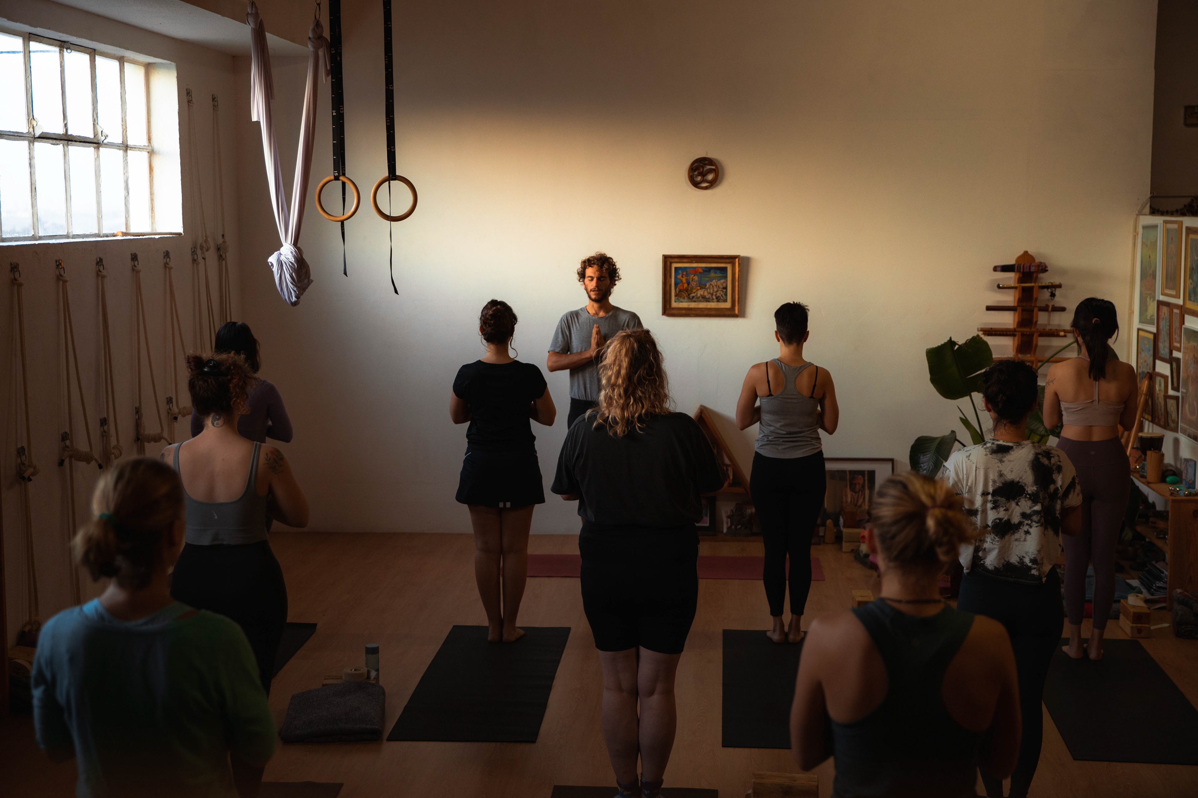 ALMASHALA YOGA - THE ART OF VINYASA- Alignment and Foundation