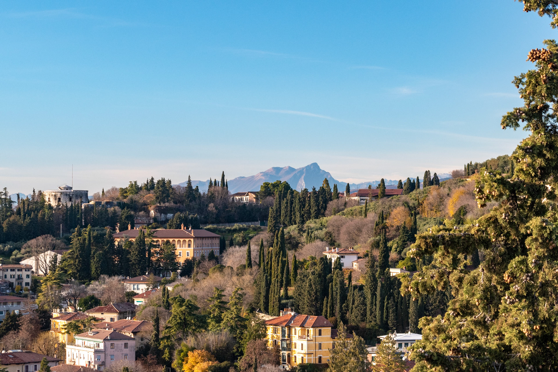 Verona