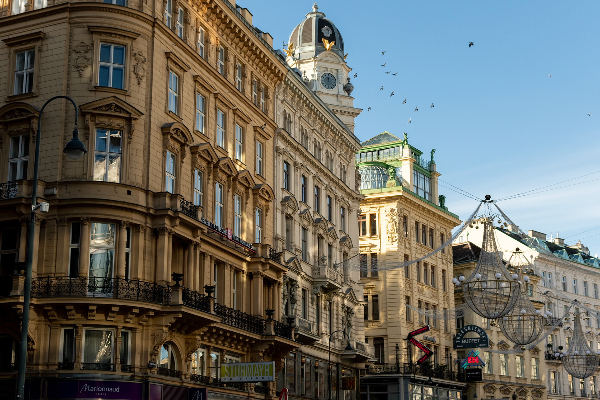 Vienna