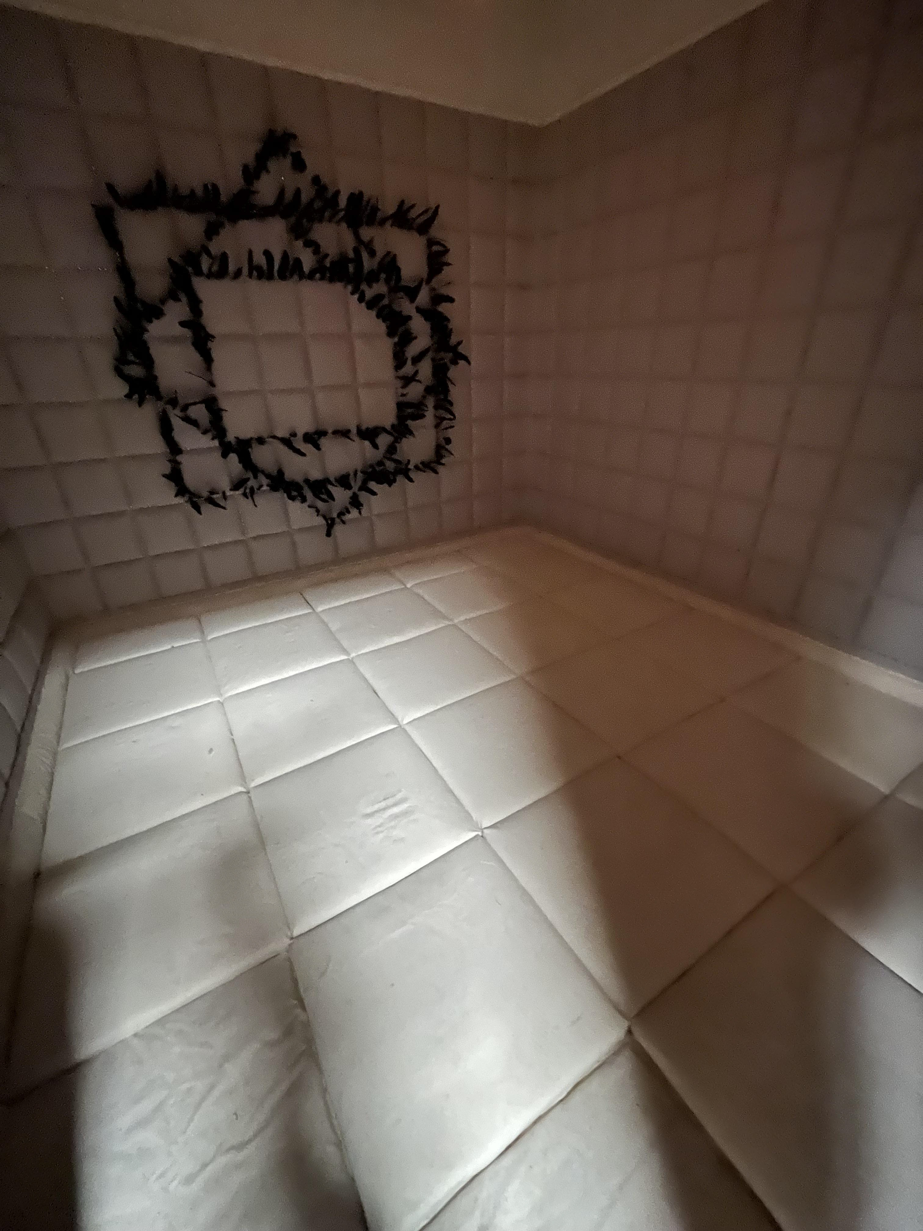 Padded Cell 