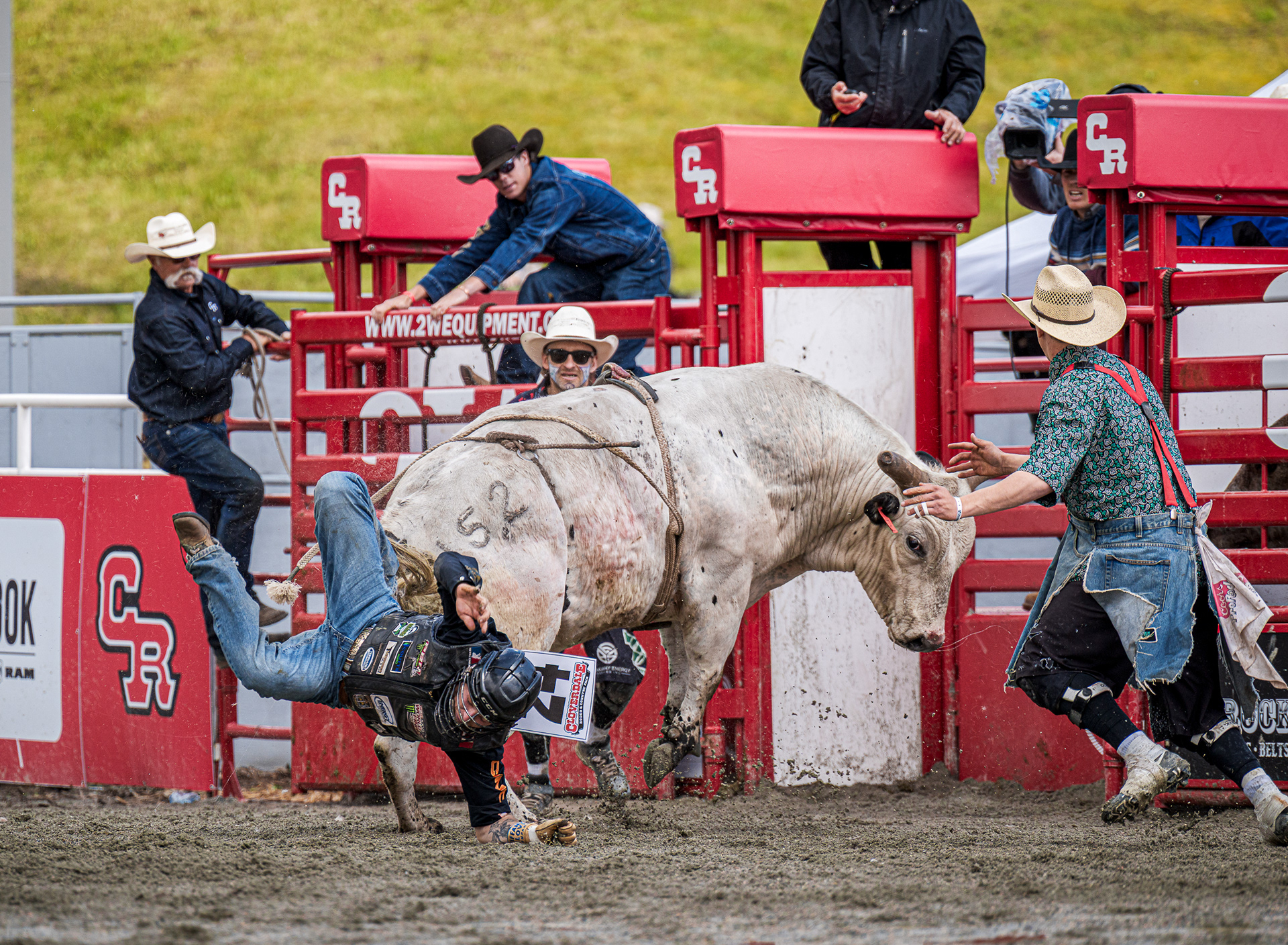 A high-drama action shot of a bull rider being thrown from a white bull at the Cloverdale Rodeo.