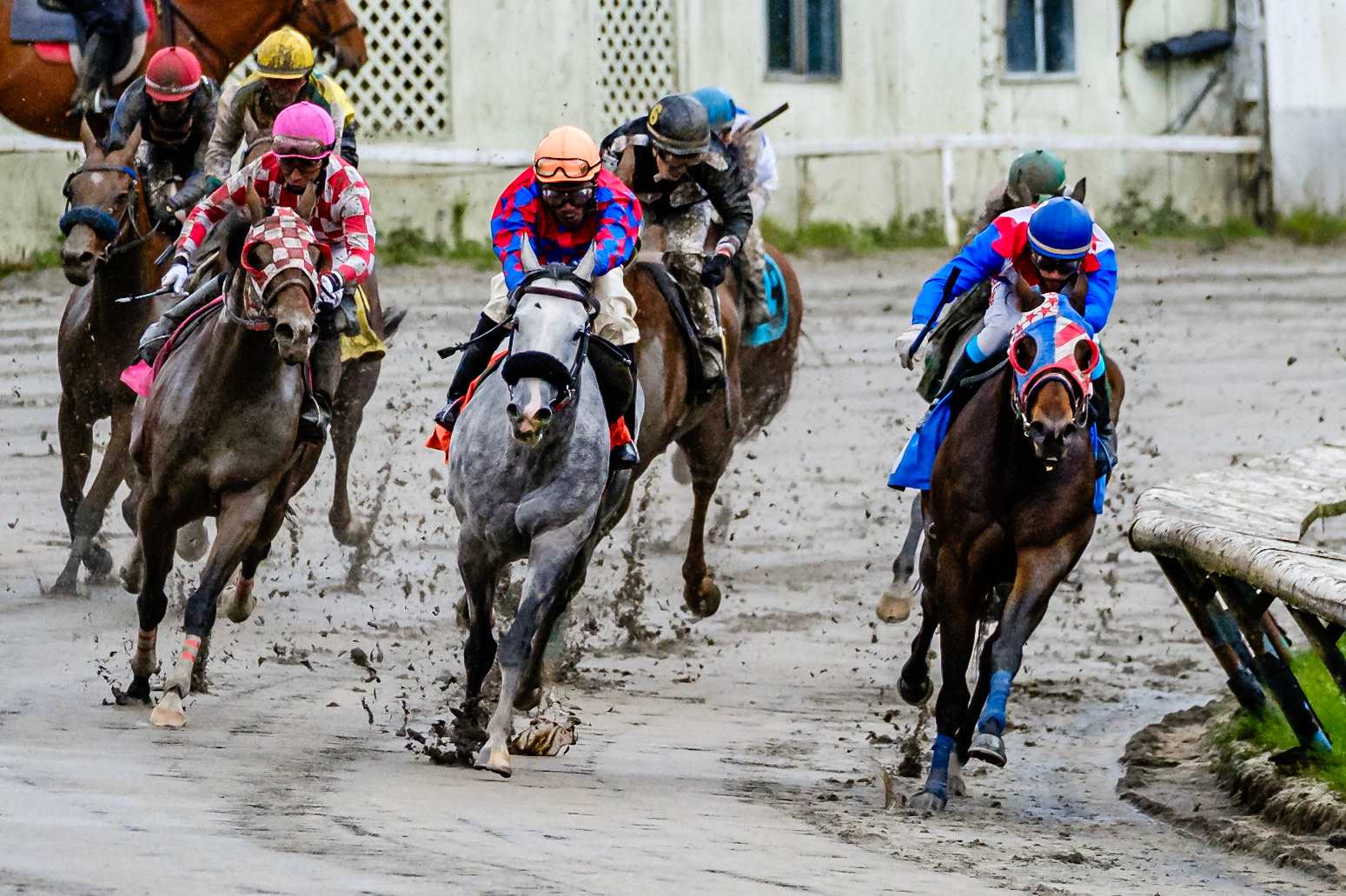2016-10-16 Horse racing