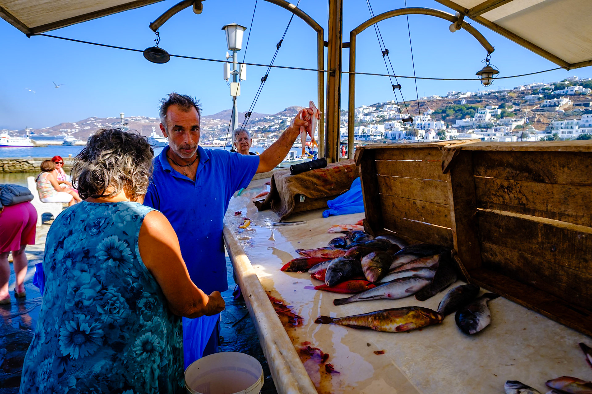 2019 Mediterranean Cruise