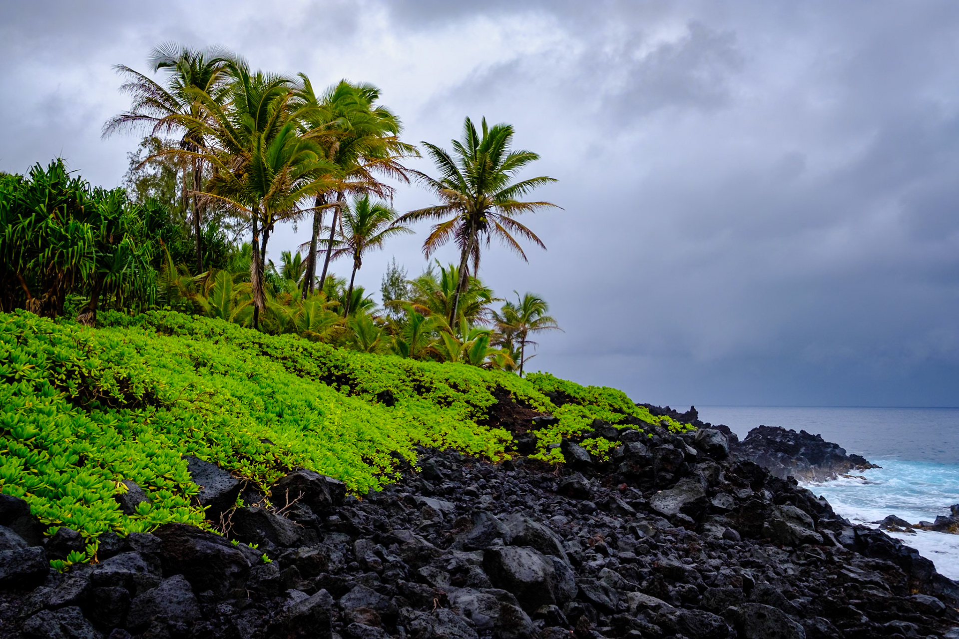 2017 Hawaii