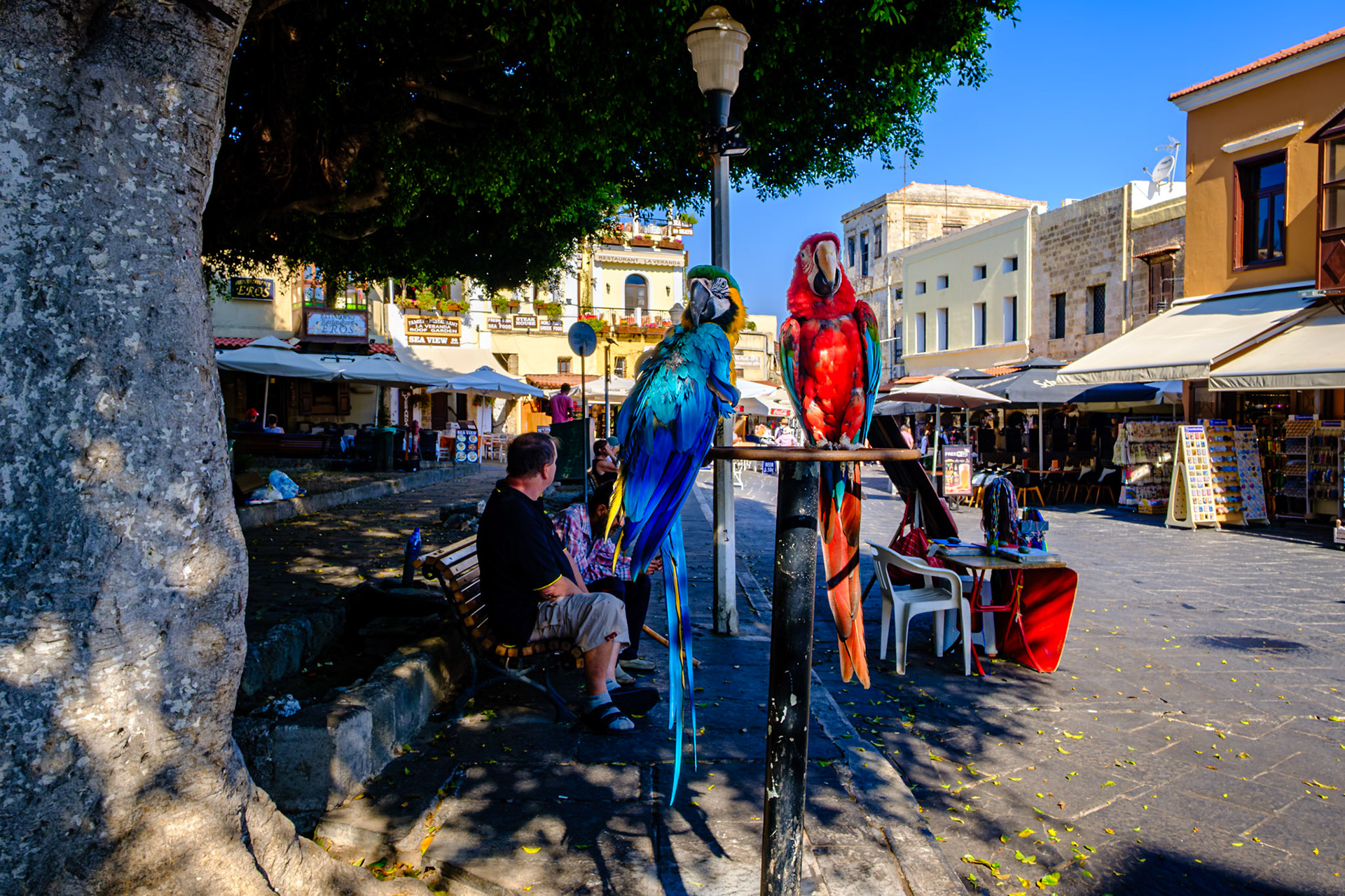 2019 Mediterranean Cruise