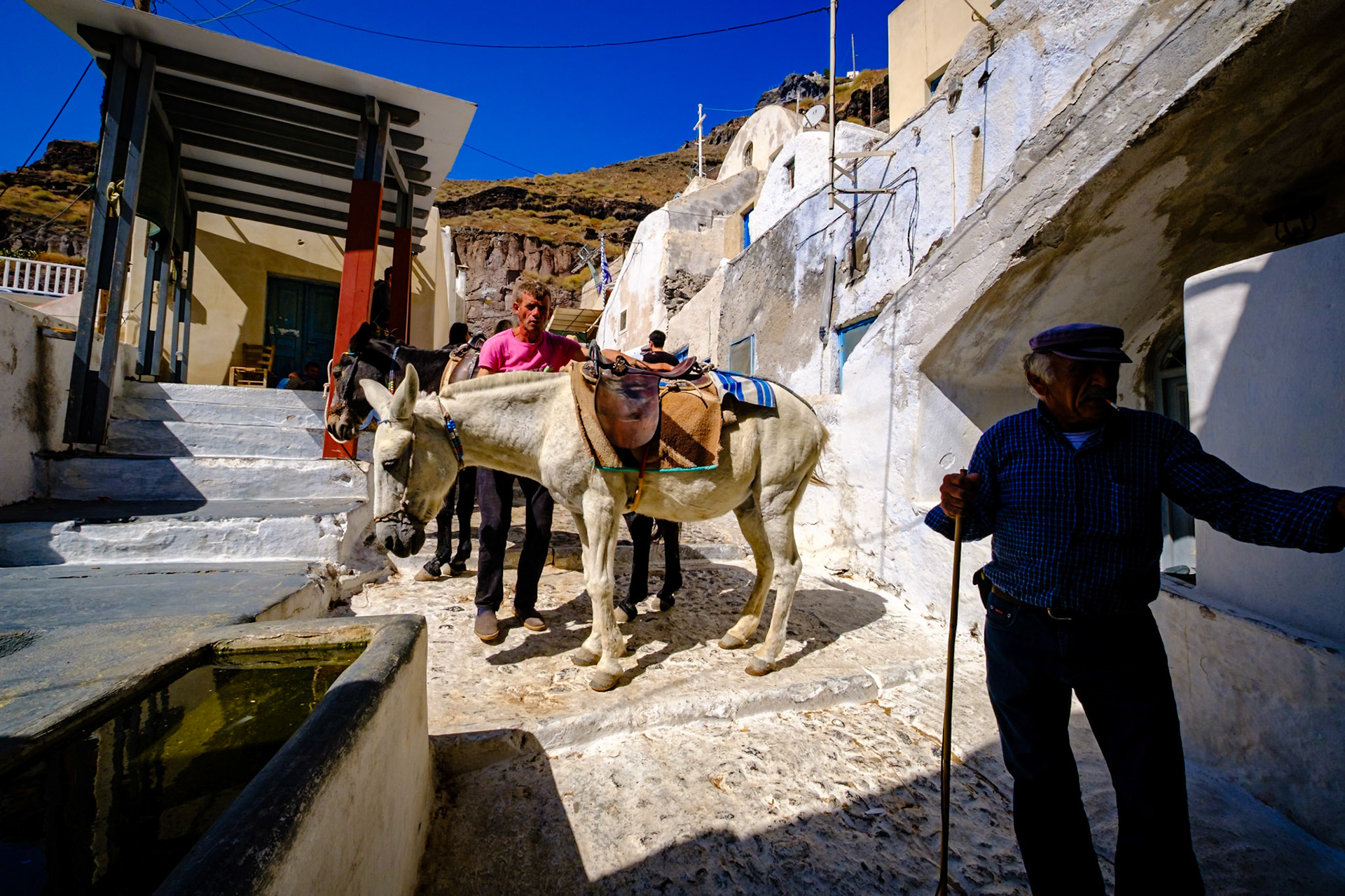 2019 Mediterranean Cruise