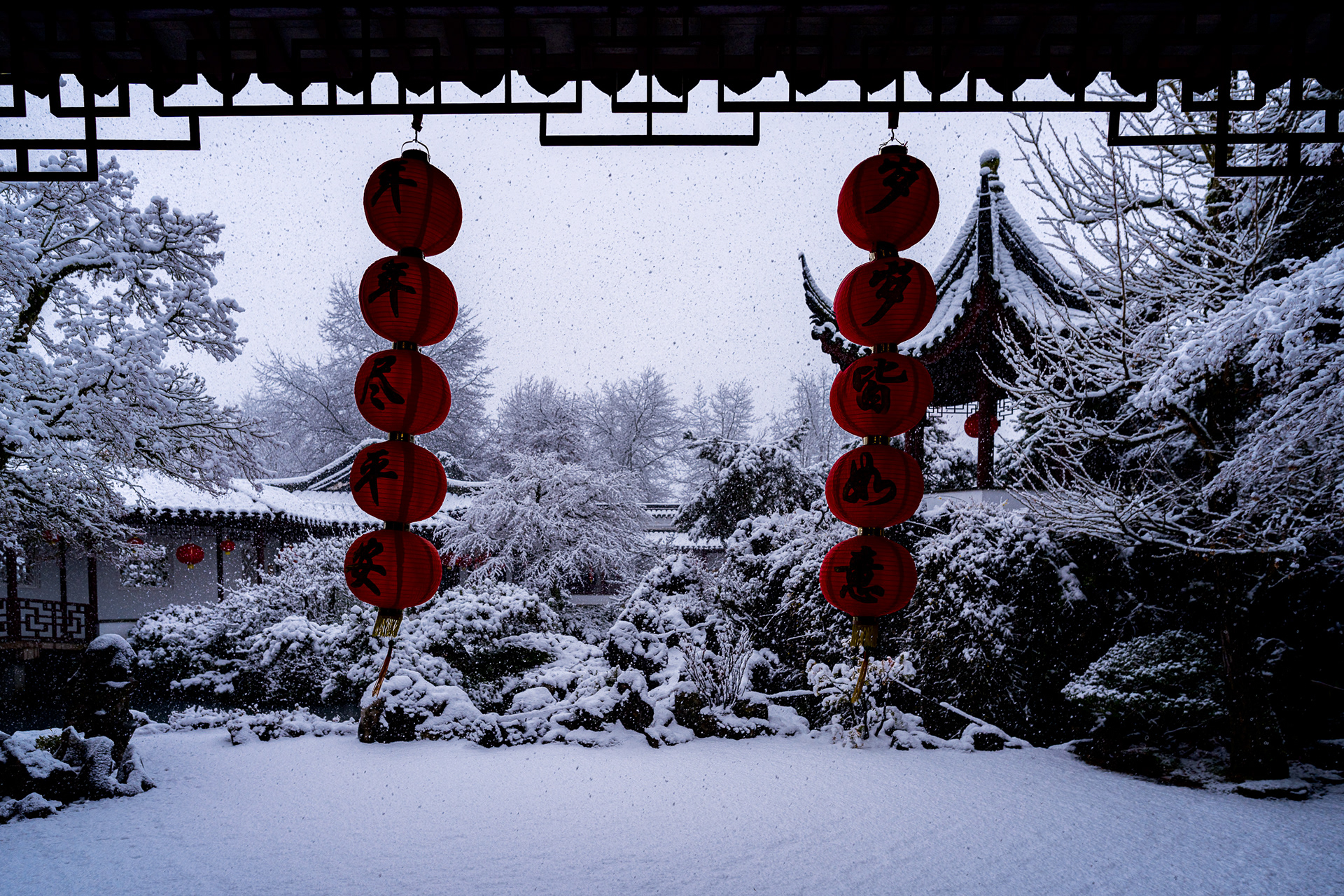 Red lanterns in a snow-covered Chinese garden.
