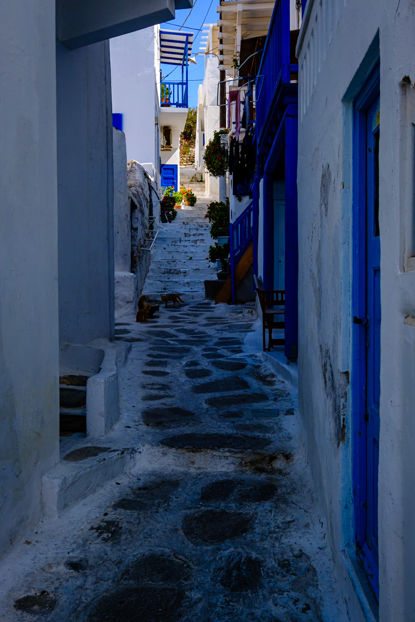 2019 Mediterranean Cruise