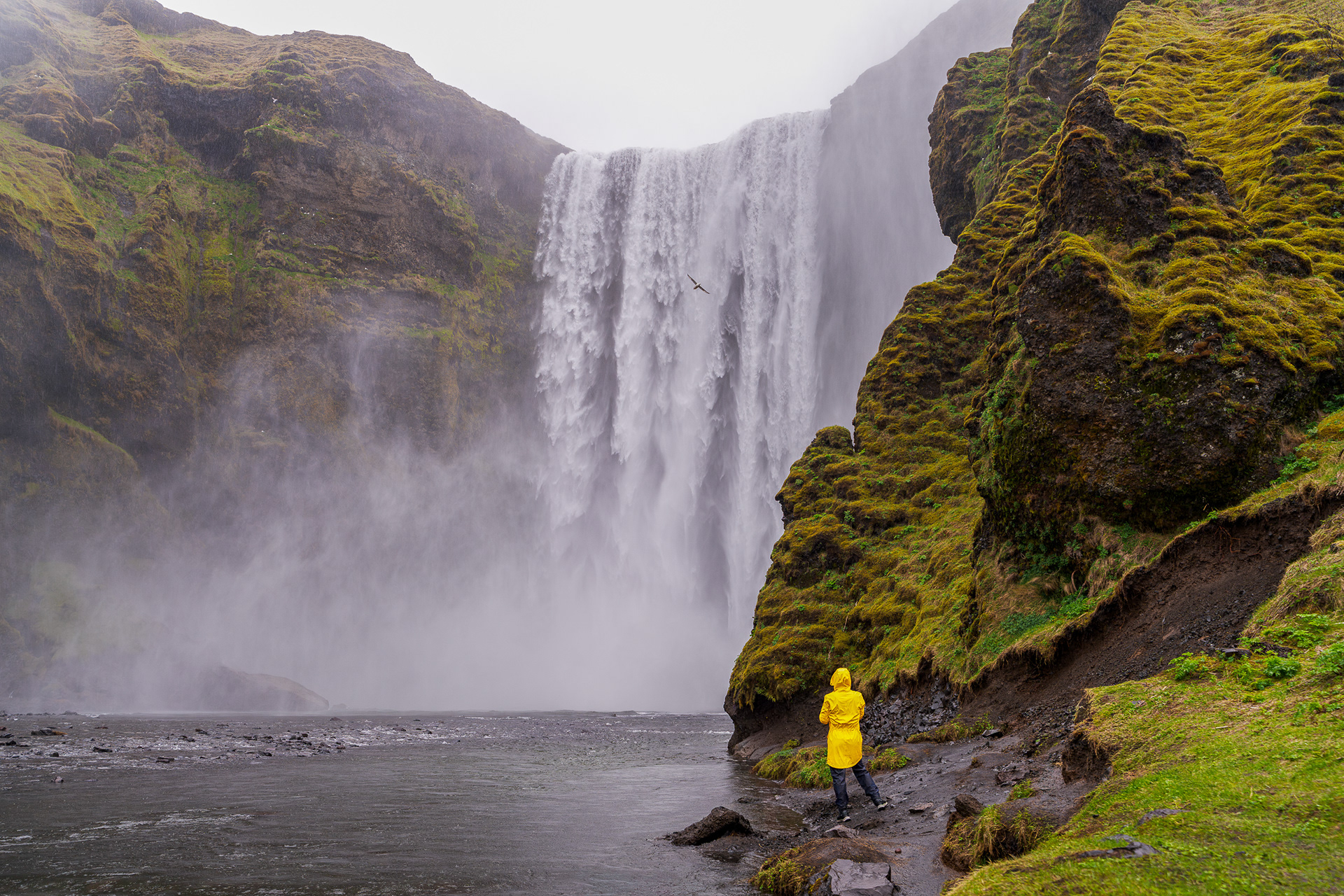 The massive Skógafoss waterfall in Iceland with a small figure in a bright yellow raincoat at the base to show the immense scale of the cliffs and mist.